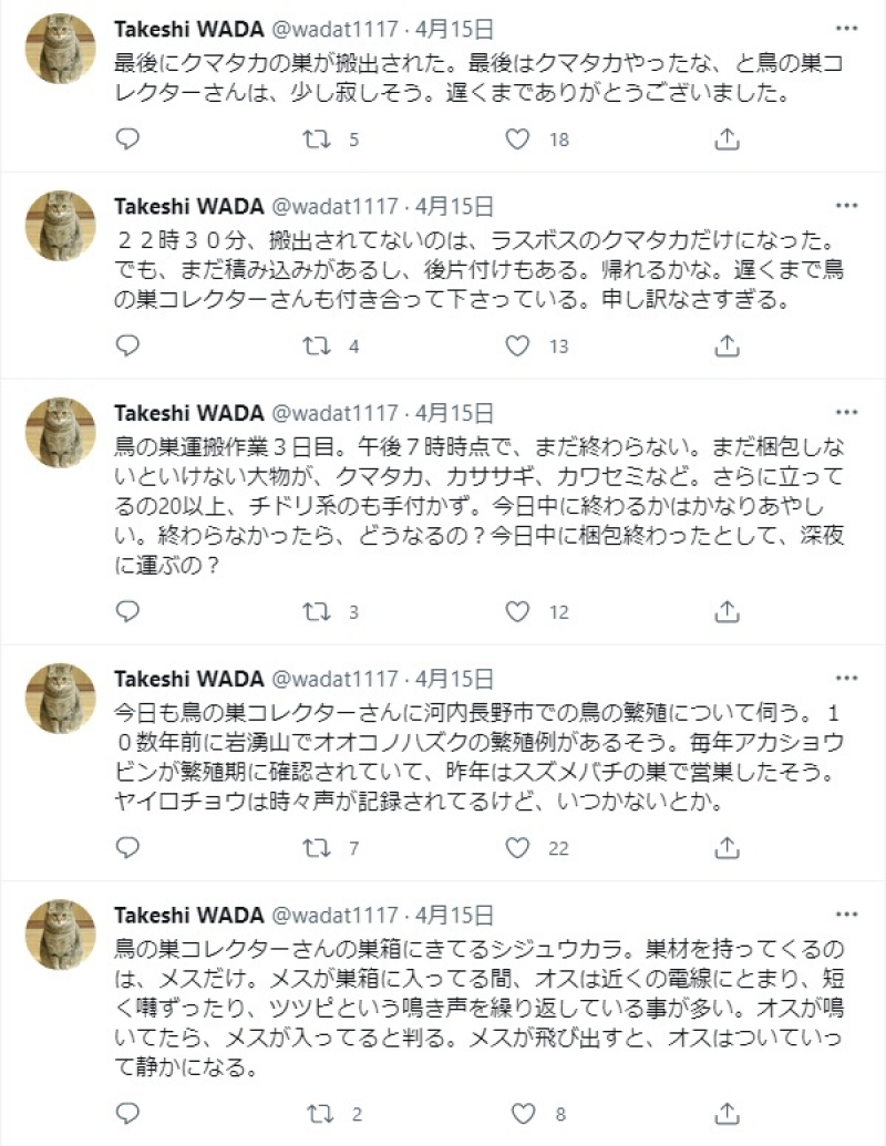 Takeshi WADAさんからの掲載了承済み