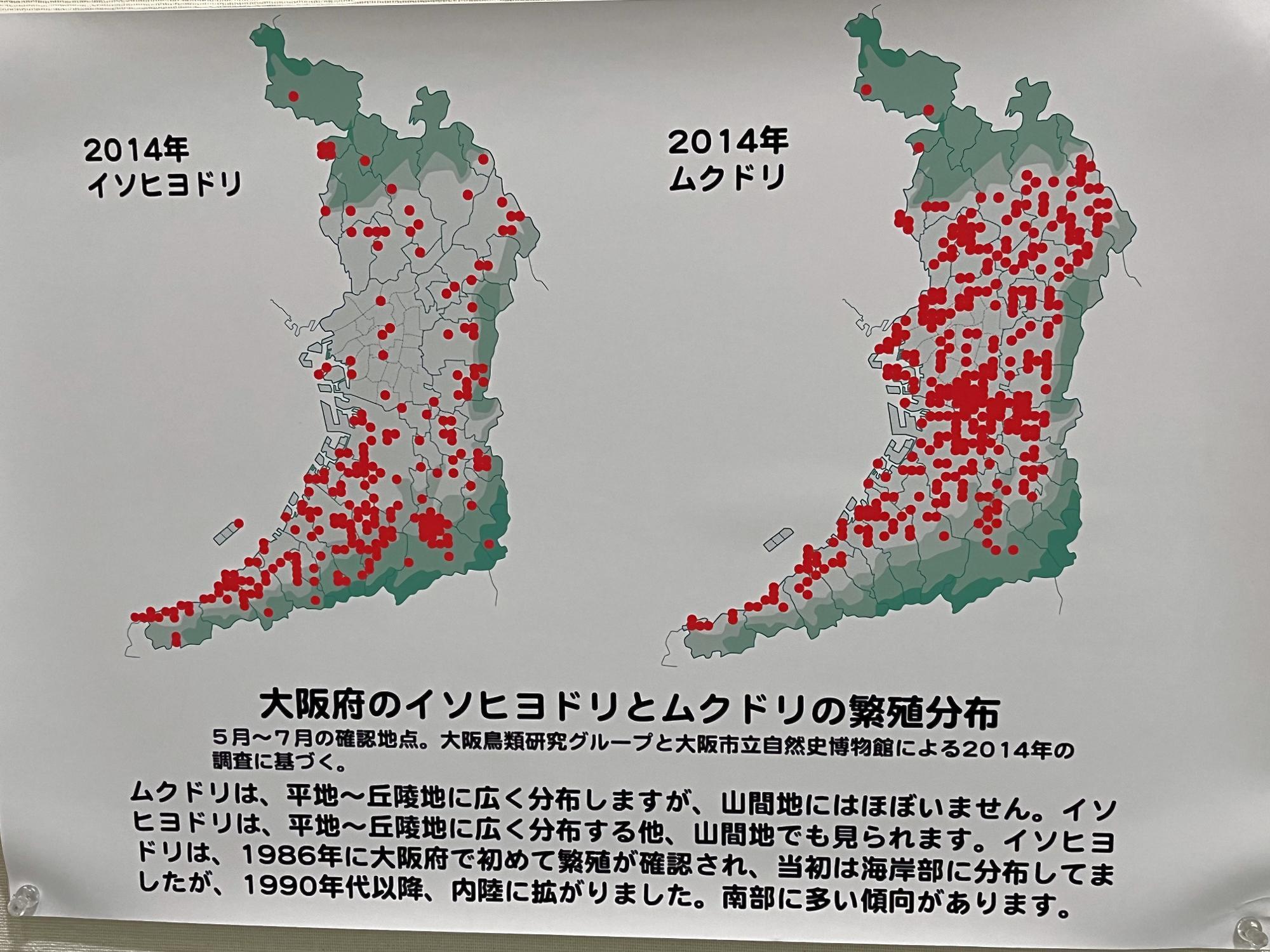 鳥の巣と同時に展示しているのは該当する鳥の繁殖分布図