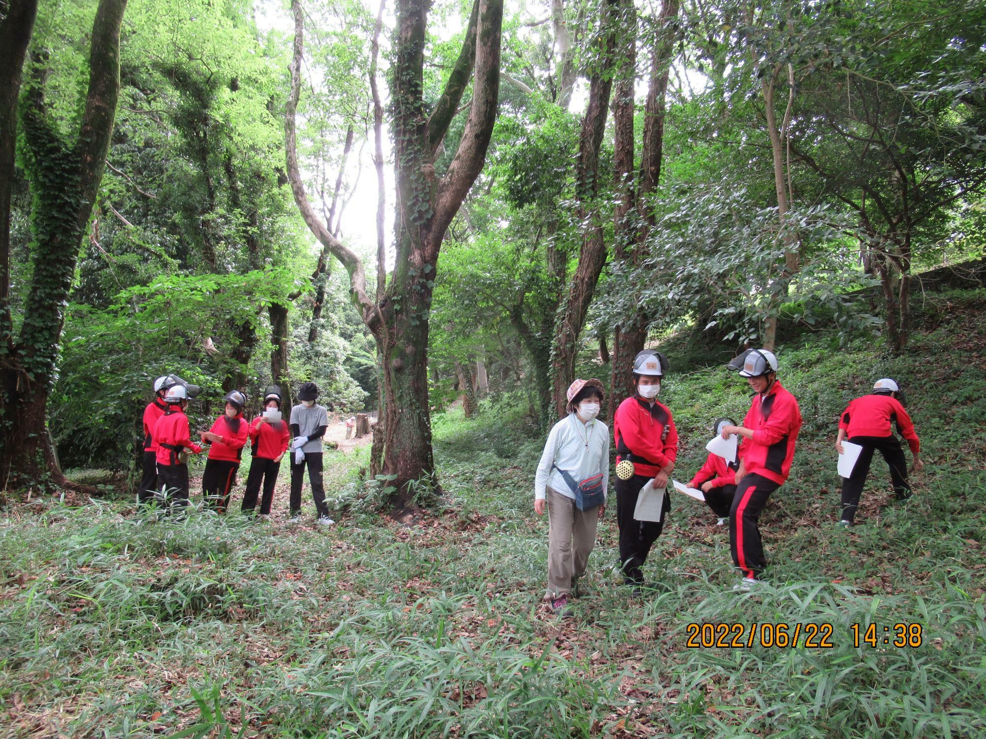 長野高校の敷地内、里山の植生調査：画像提供：森林ボランティアトモロス