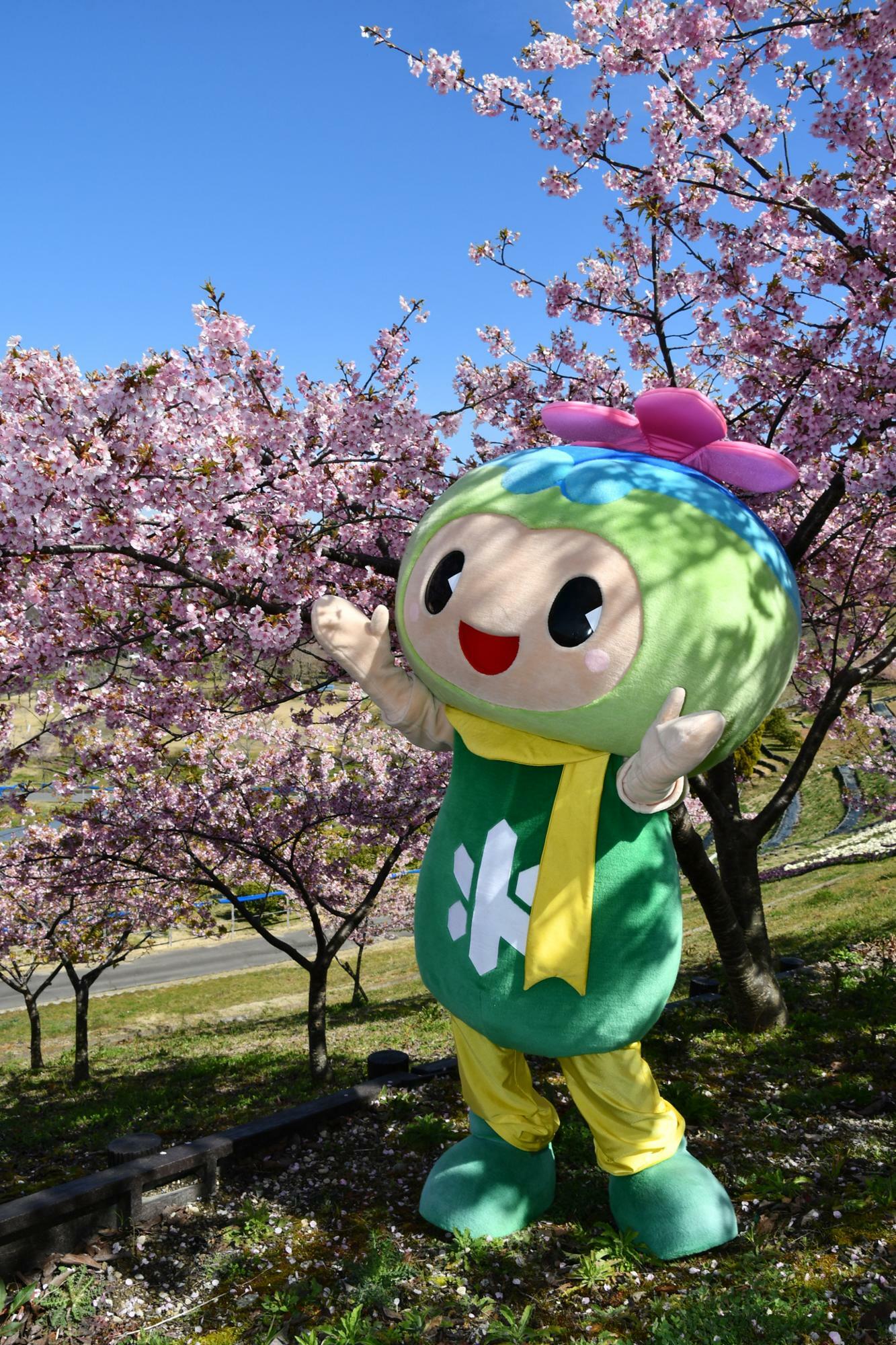 花を楽しそうに見つめる「とっぴー」　画像提供：富田林市都市魅力課