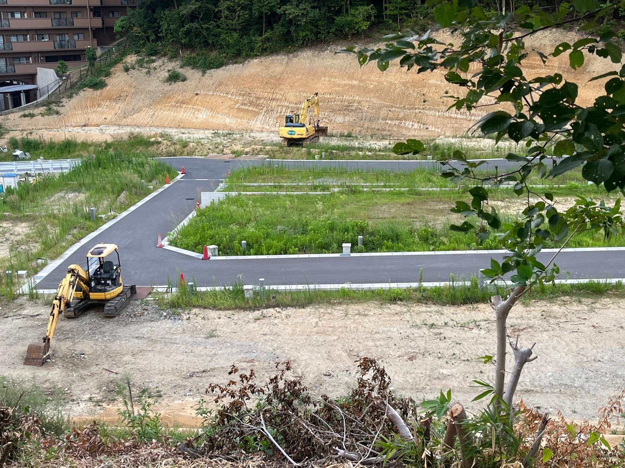 2022年8月の念佛池