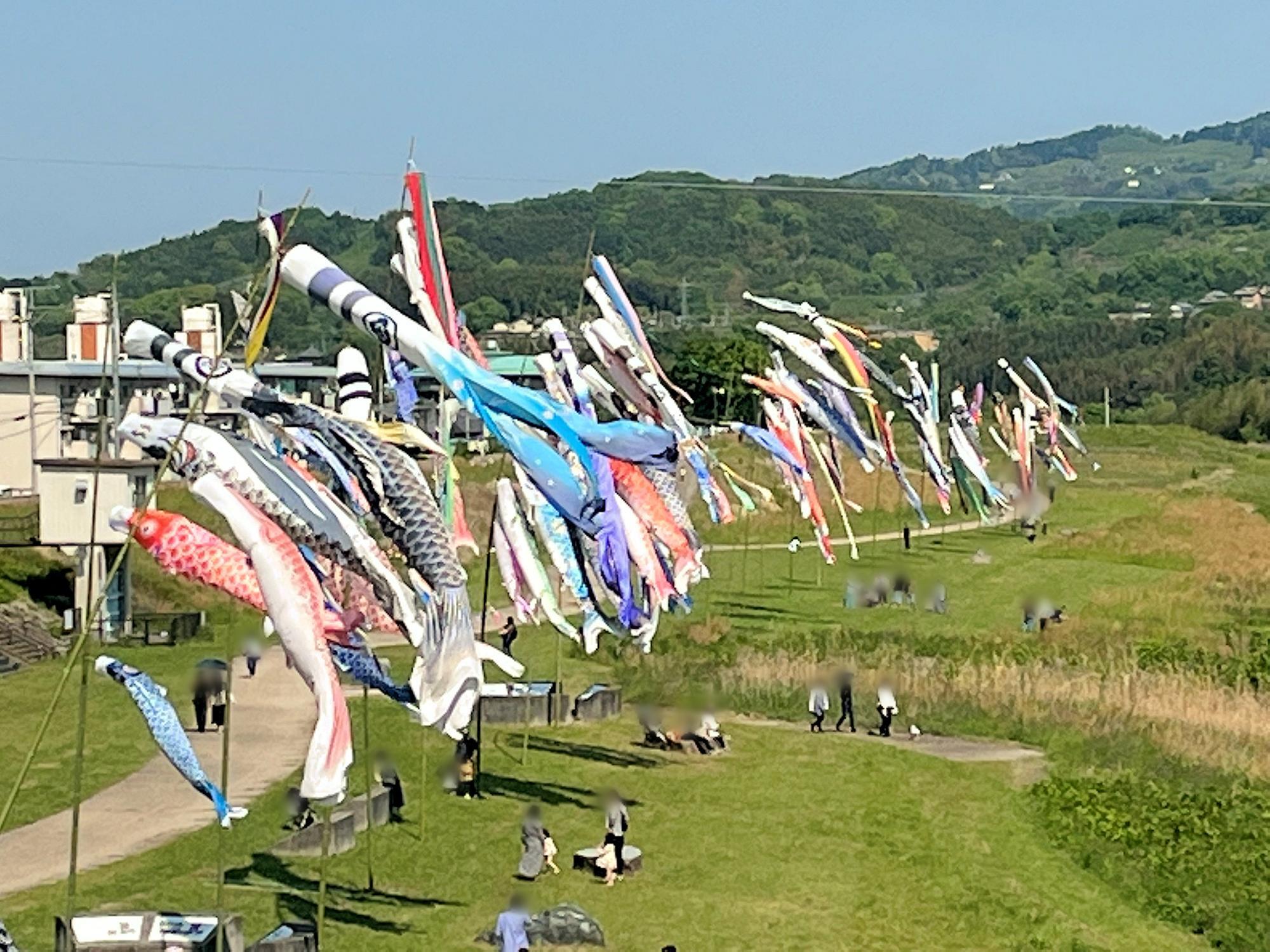 昨年撮影した五條・吉野川のこいのぼりの川流し