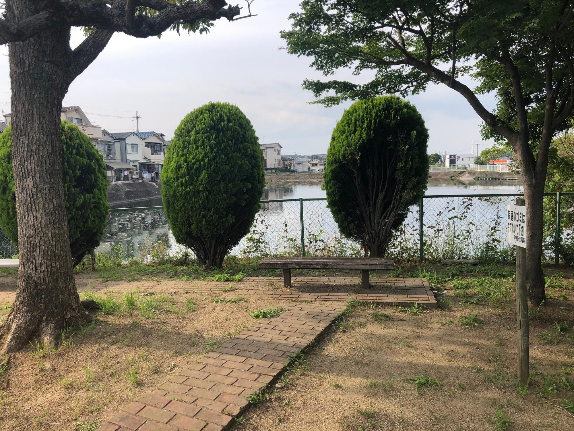 稲田池公園