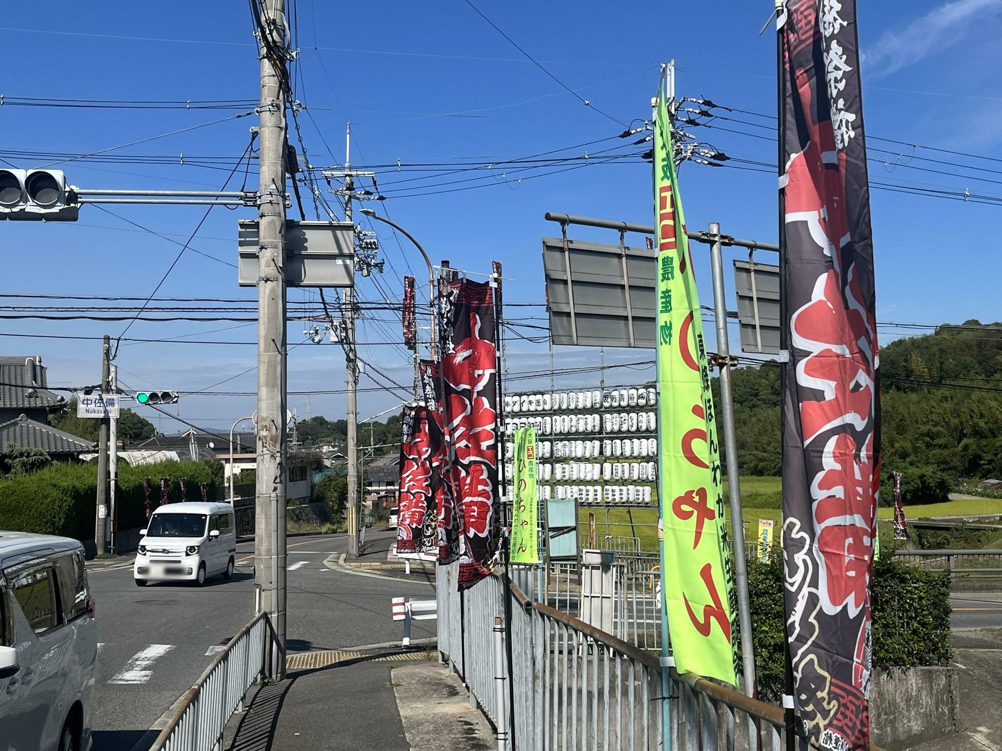 富田林市】東條ほんわか米「ひのちゃん」とは？化学肥料不使用、減農薬