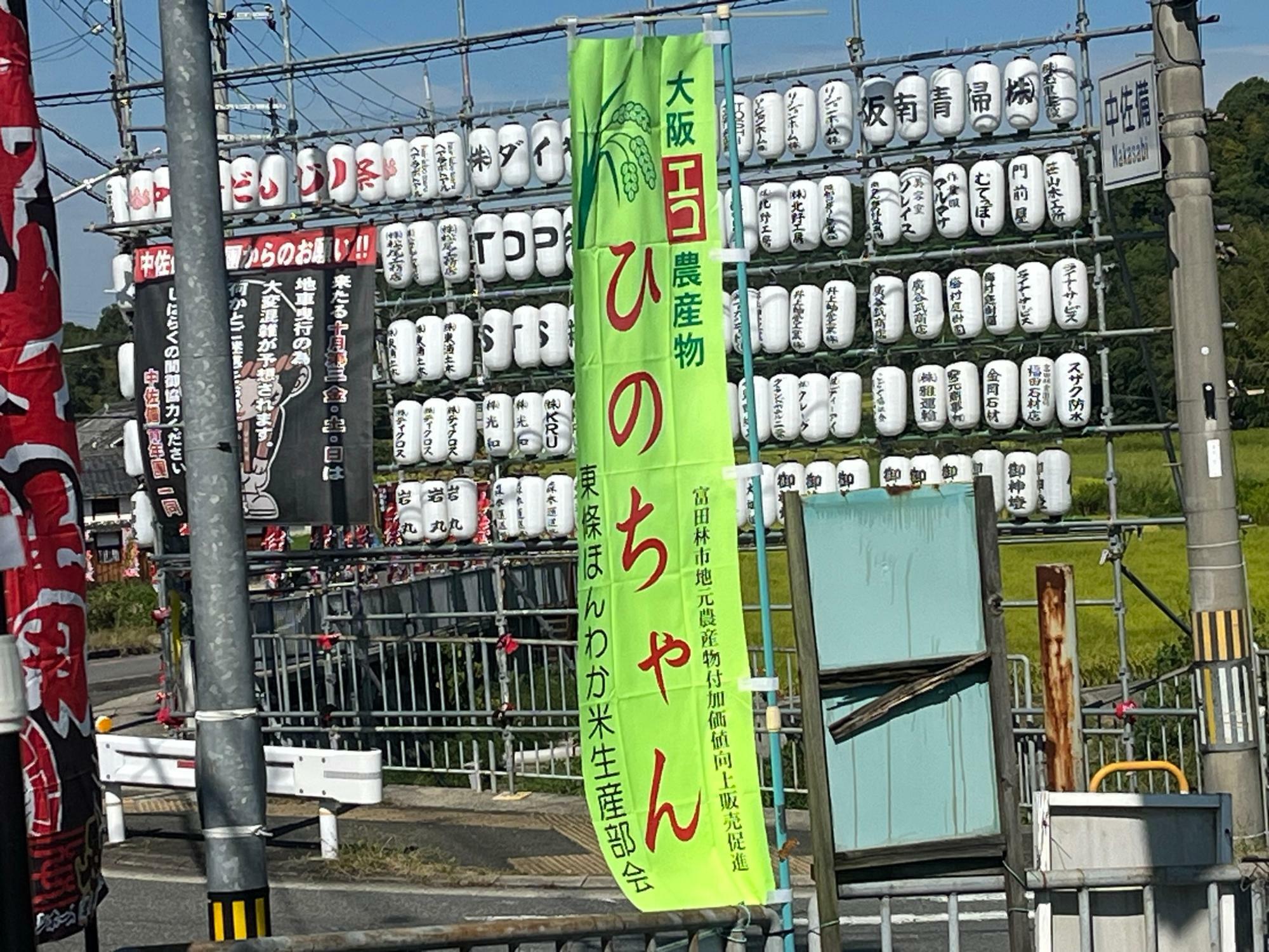 富田林市】東條ほんわか米「ひのちゃん」とは？化学肥料不使用、減農薬