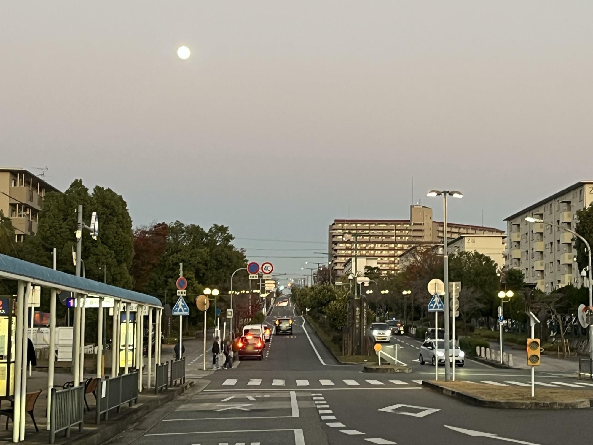 金剛駅東口から富田林市方面を見た様子