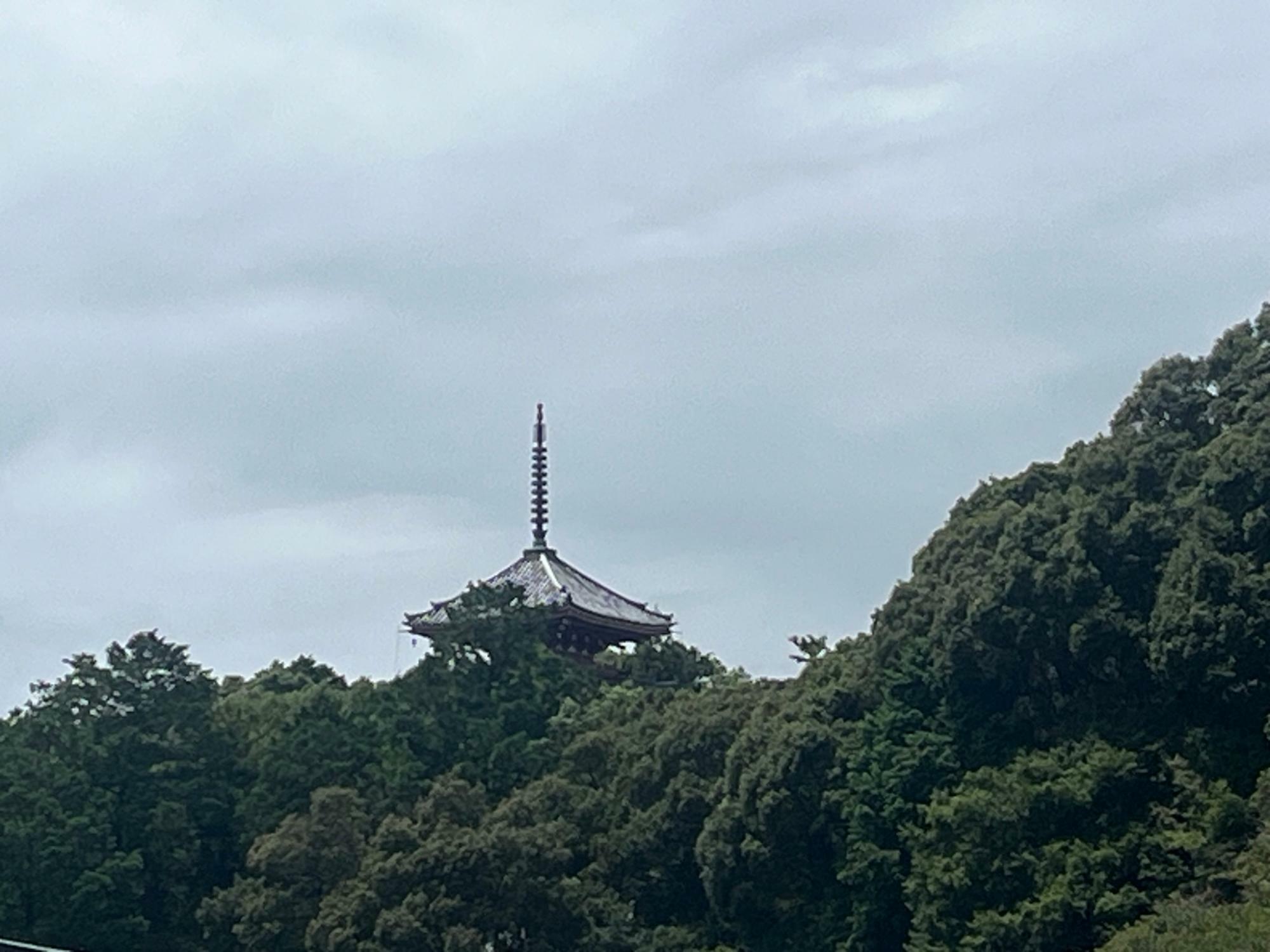 高知市内にある四国八十八個所第三十一番礼所五臺山竹林寺の五重塔