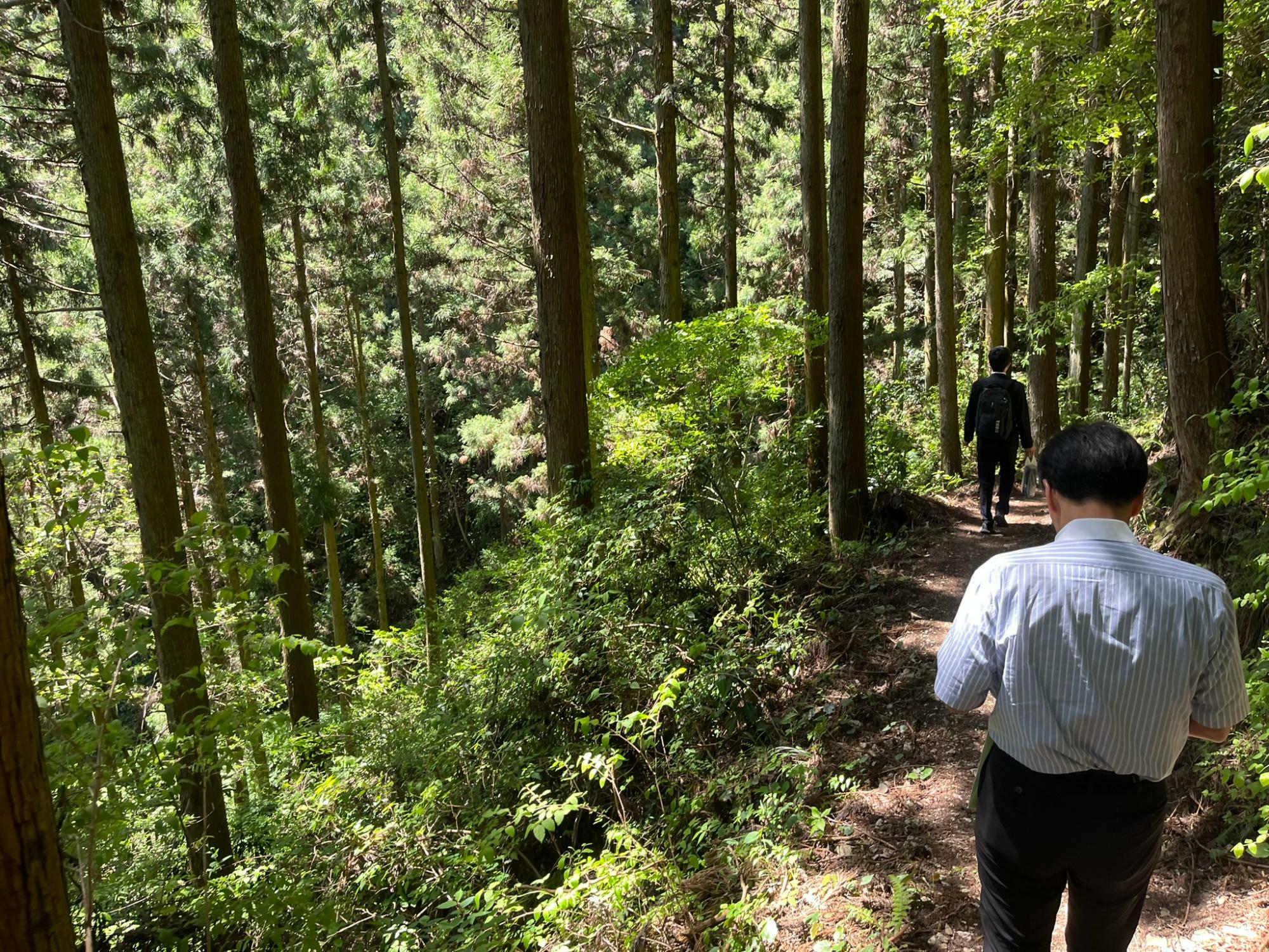 行者杉までの登山道。前を歩くのは、途中合流した島田市長です