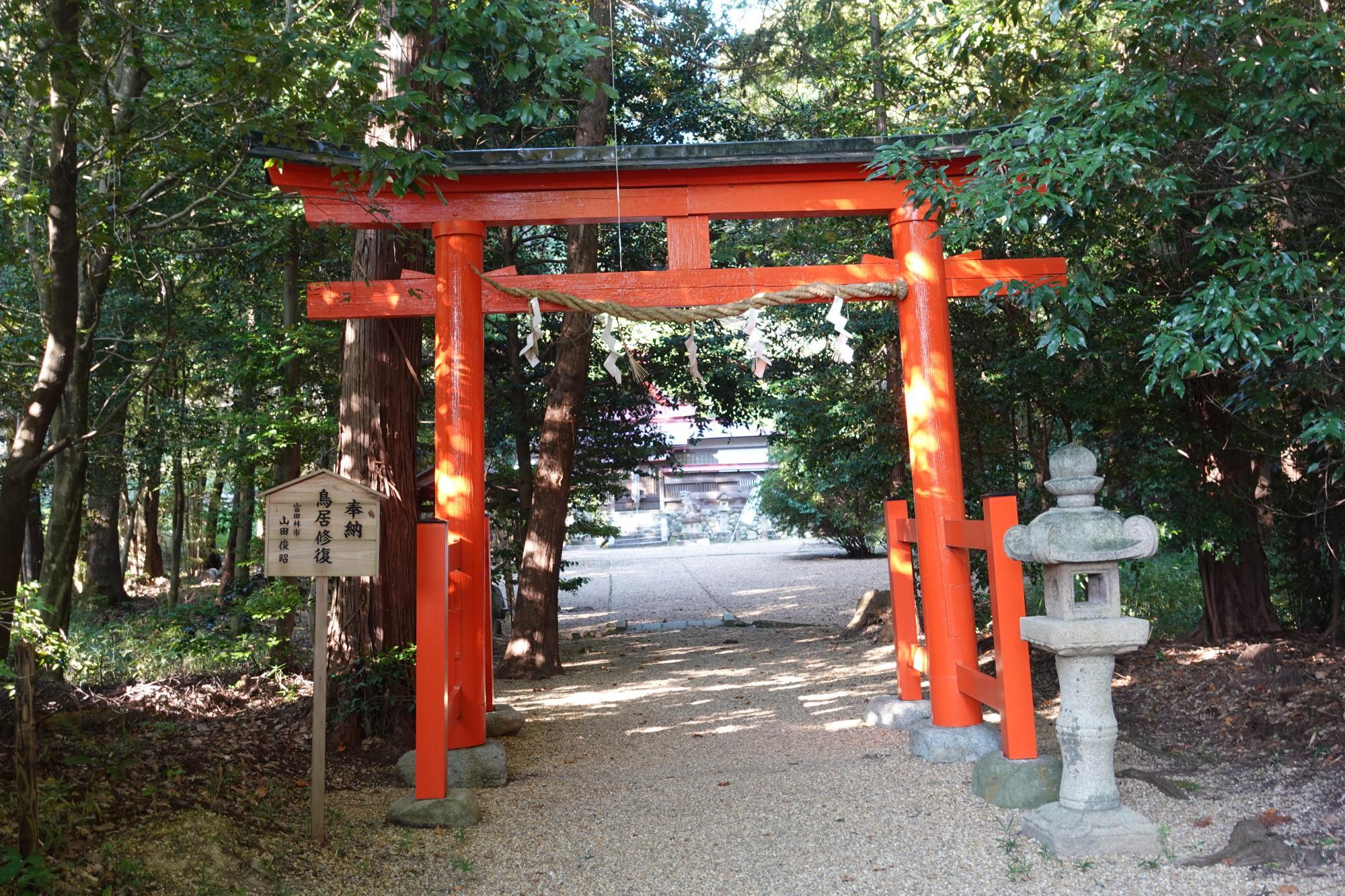 富田林市】古代富田林の浪漫!大化の改新前にあった紺口県主創建 富田林市】古代富田林の浪漫!大化の改新前にあった紺口県主創建