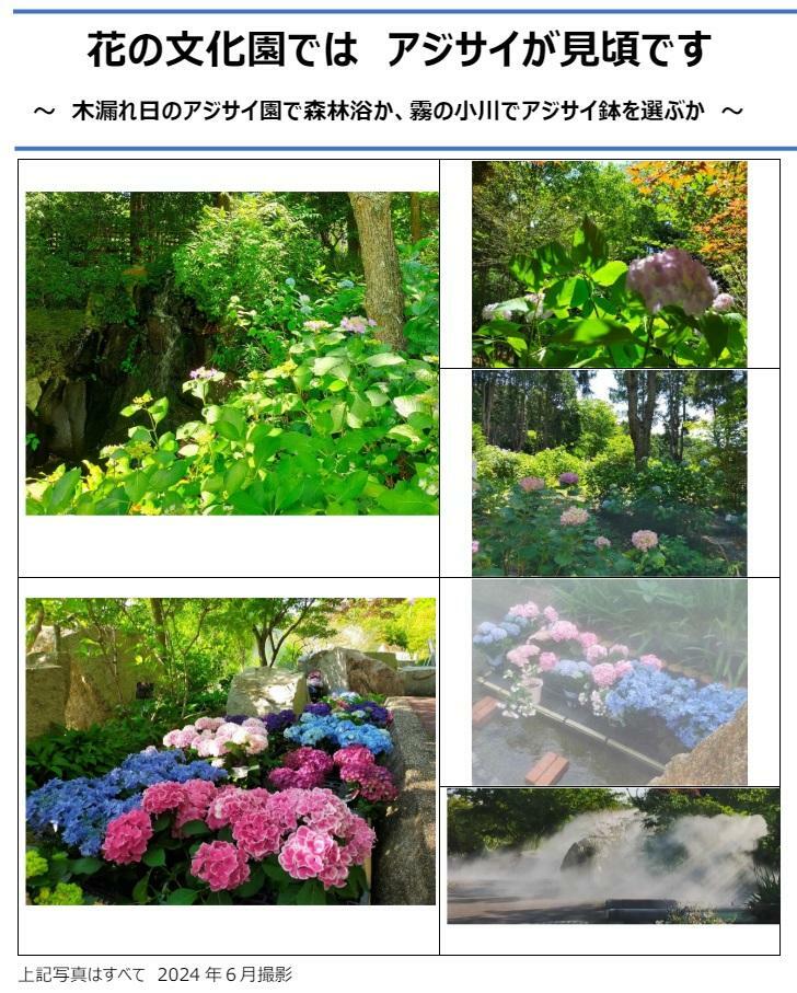 画像提供：大阪府立花の文化園