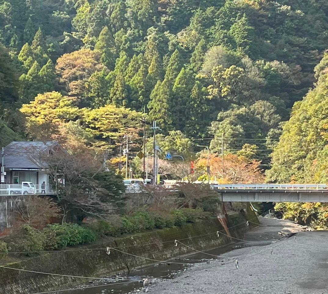昨年秋に撮影した新関屋橋
