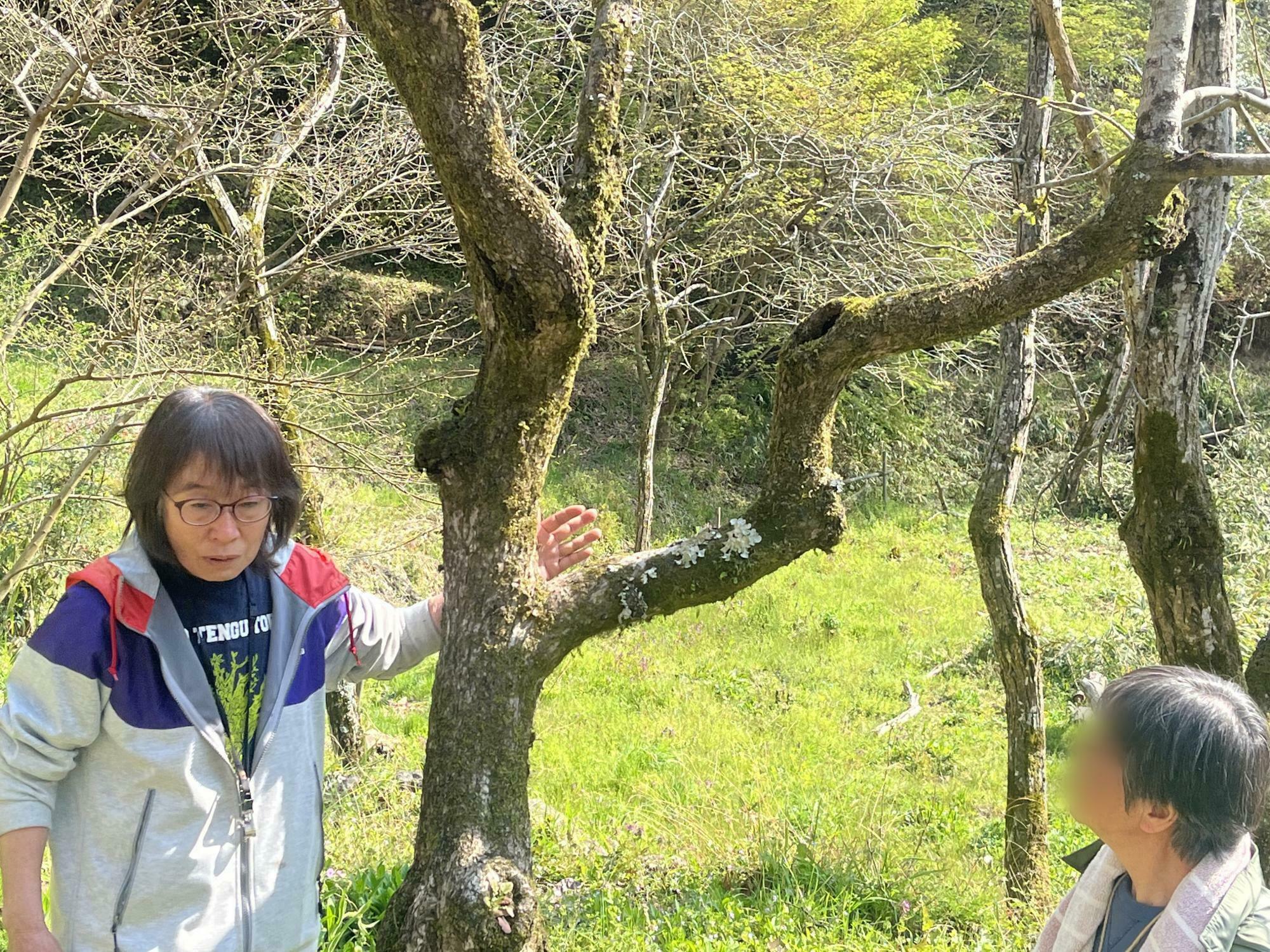 坂田晶子先生