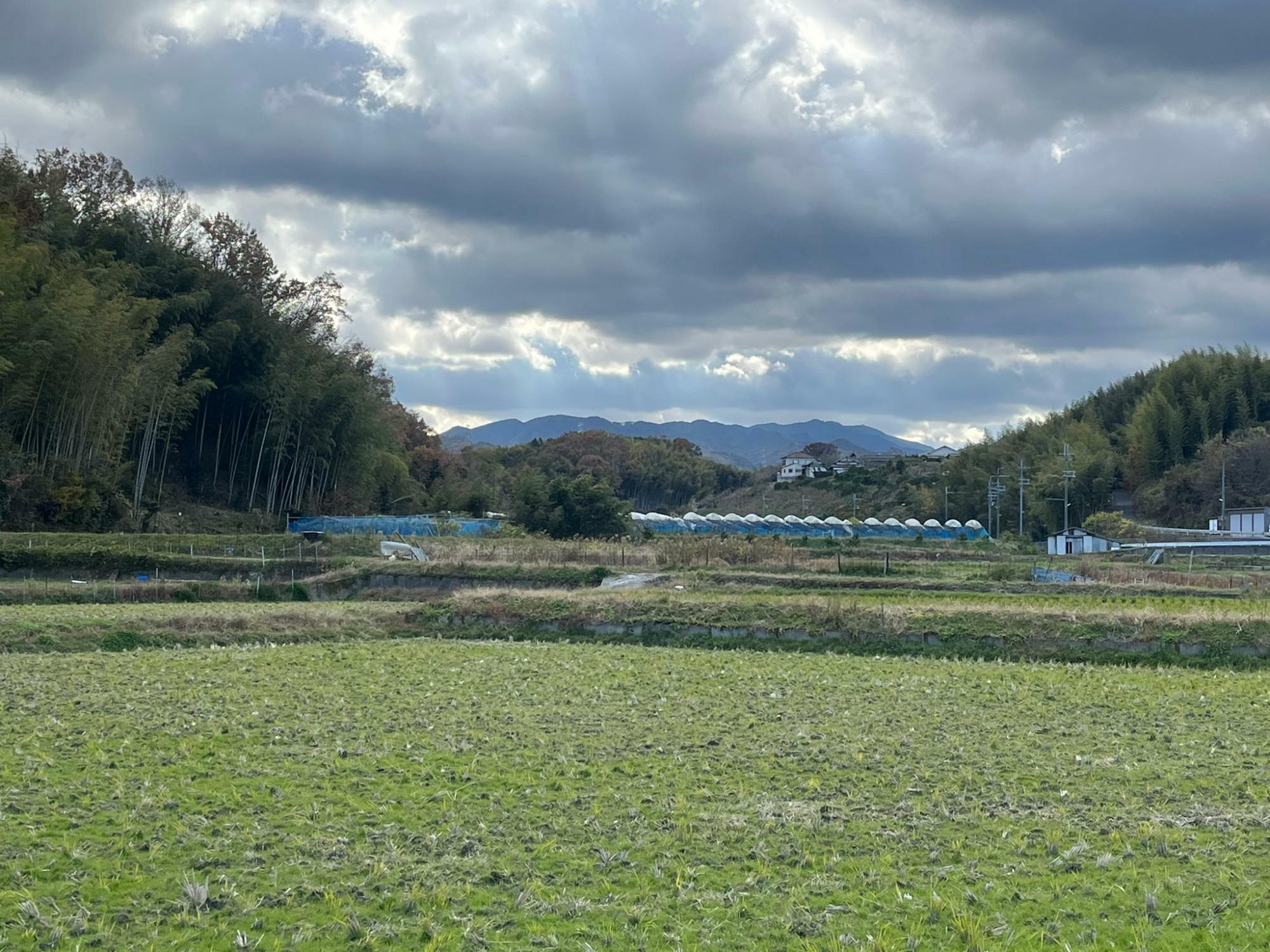 河内長野市内：画像はイメージです