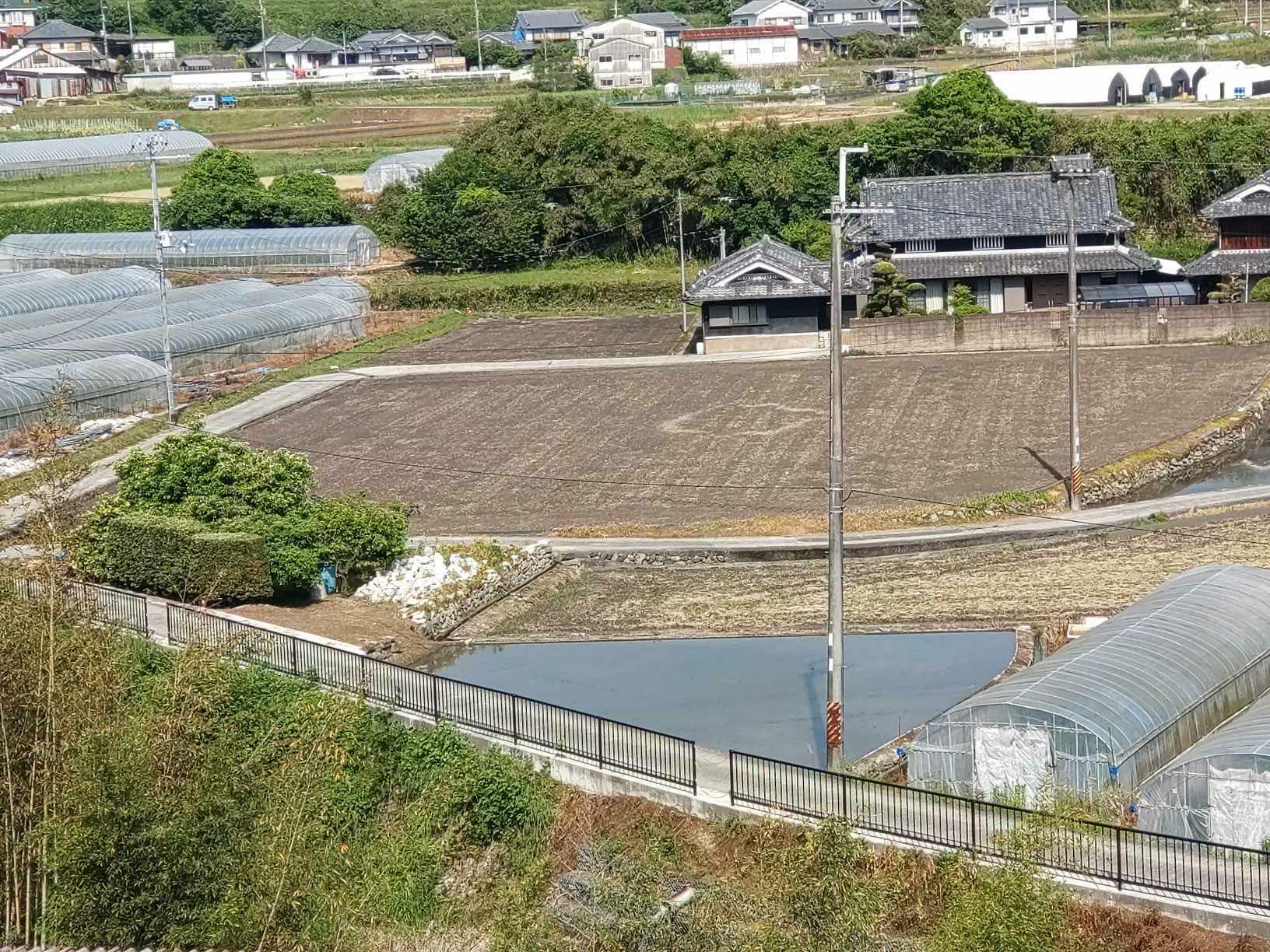 画像提供：野村祐介さん