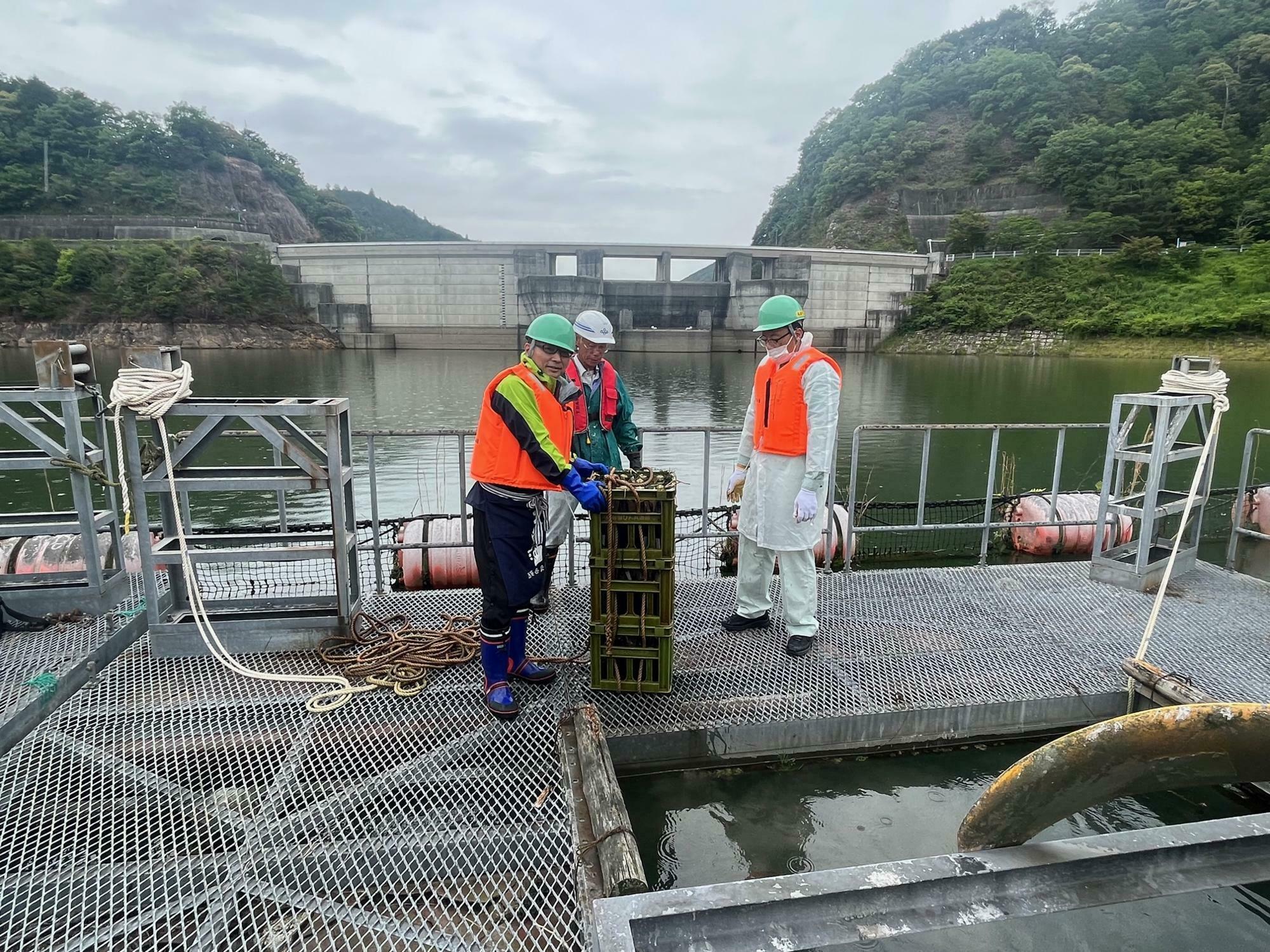 ふるさと納税のひとつ　天野酒の滝畑ダム湖底酒