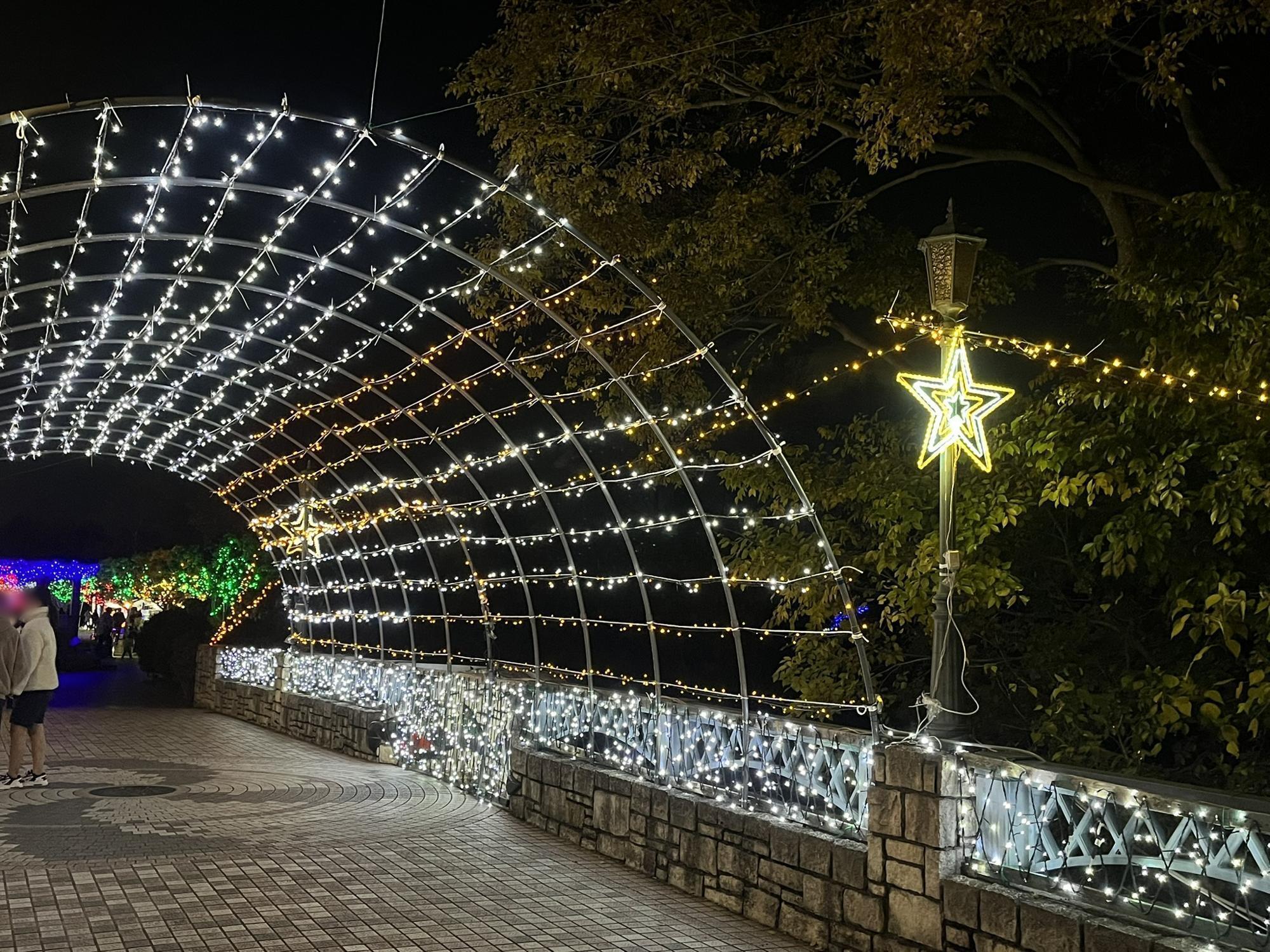 昨年の寺ヶ池公園イルミにあったフェリース橋の光のゲート