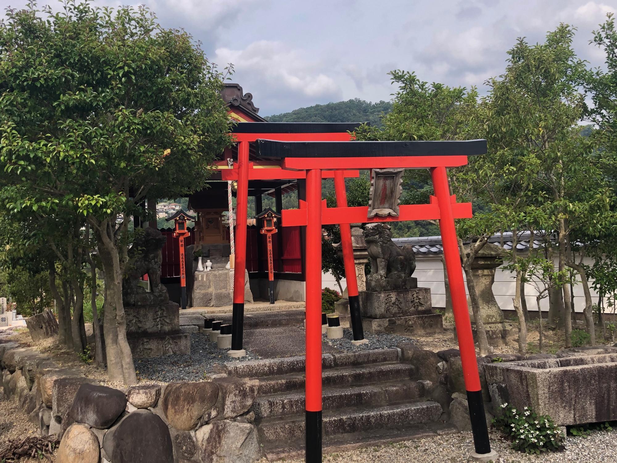 古野町五ノ木稲荷神社にも狛犬がいる