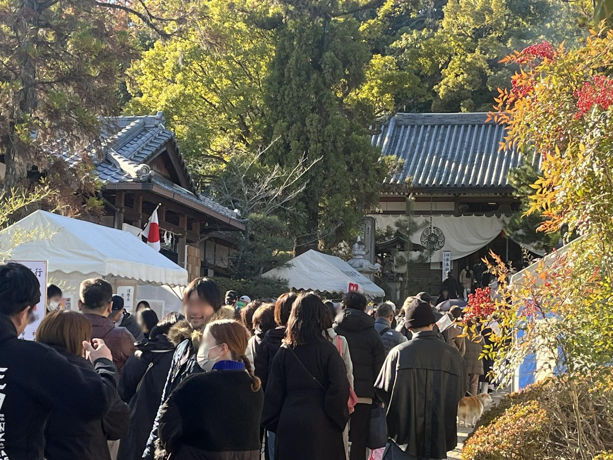 昨日13時ころ、下拝殿まで長い行列ができていました