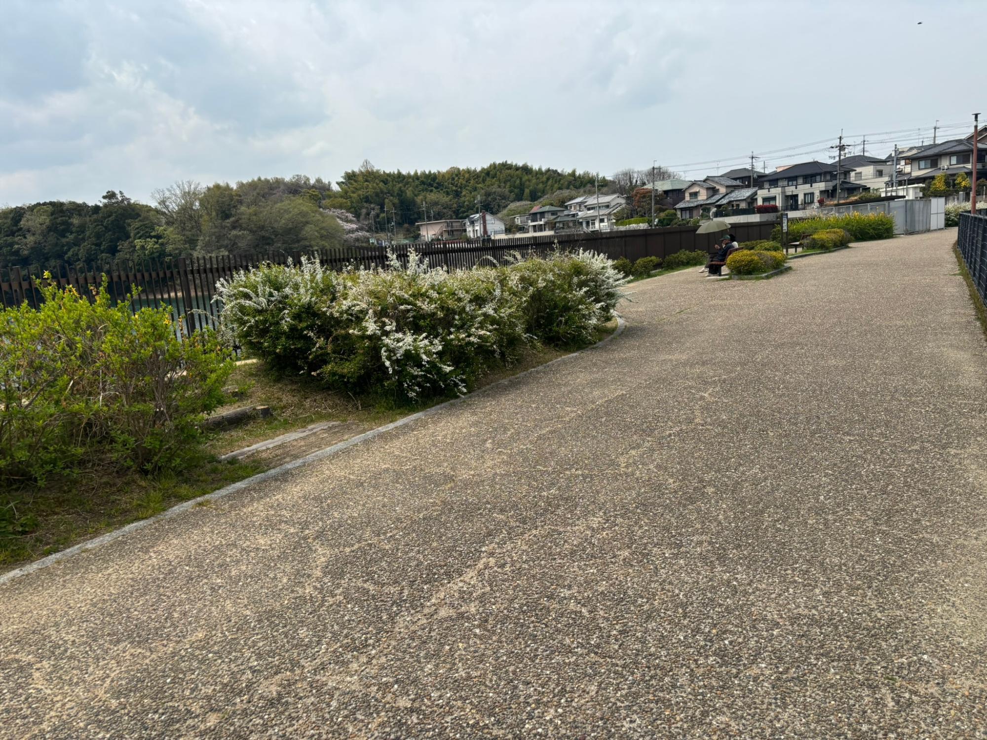河内長野市】残念！待ってたのにブルーインパルス予行上空待機