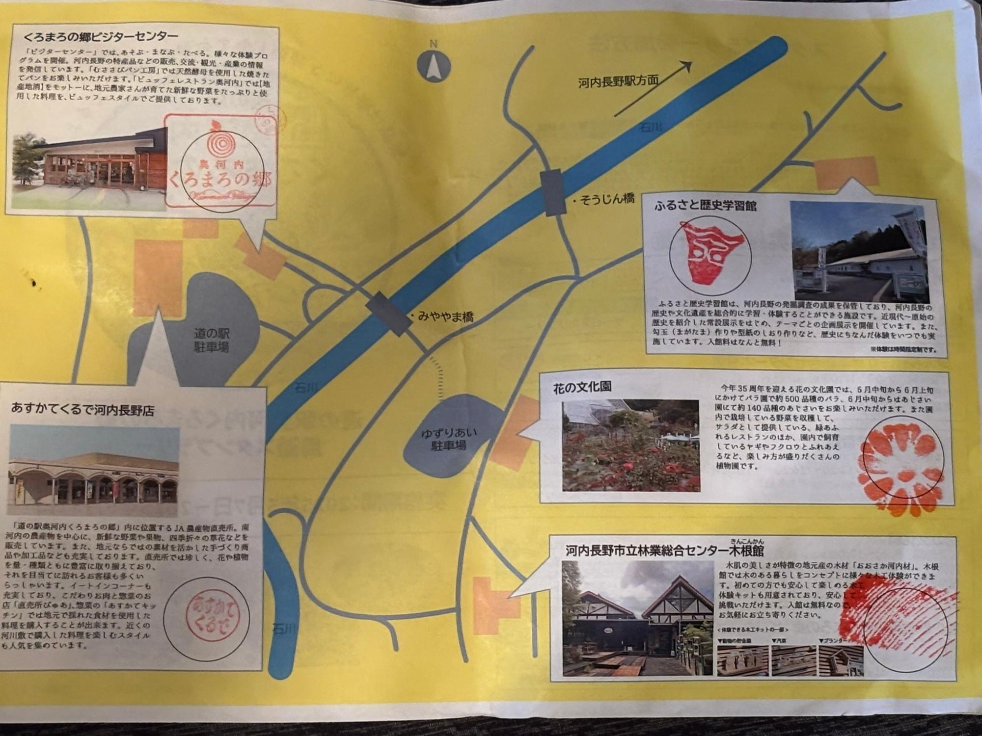河内長野市】8周年のくろまろの郷や子ヤギとバラが見頃の花の