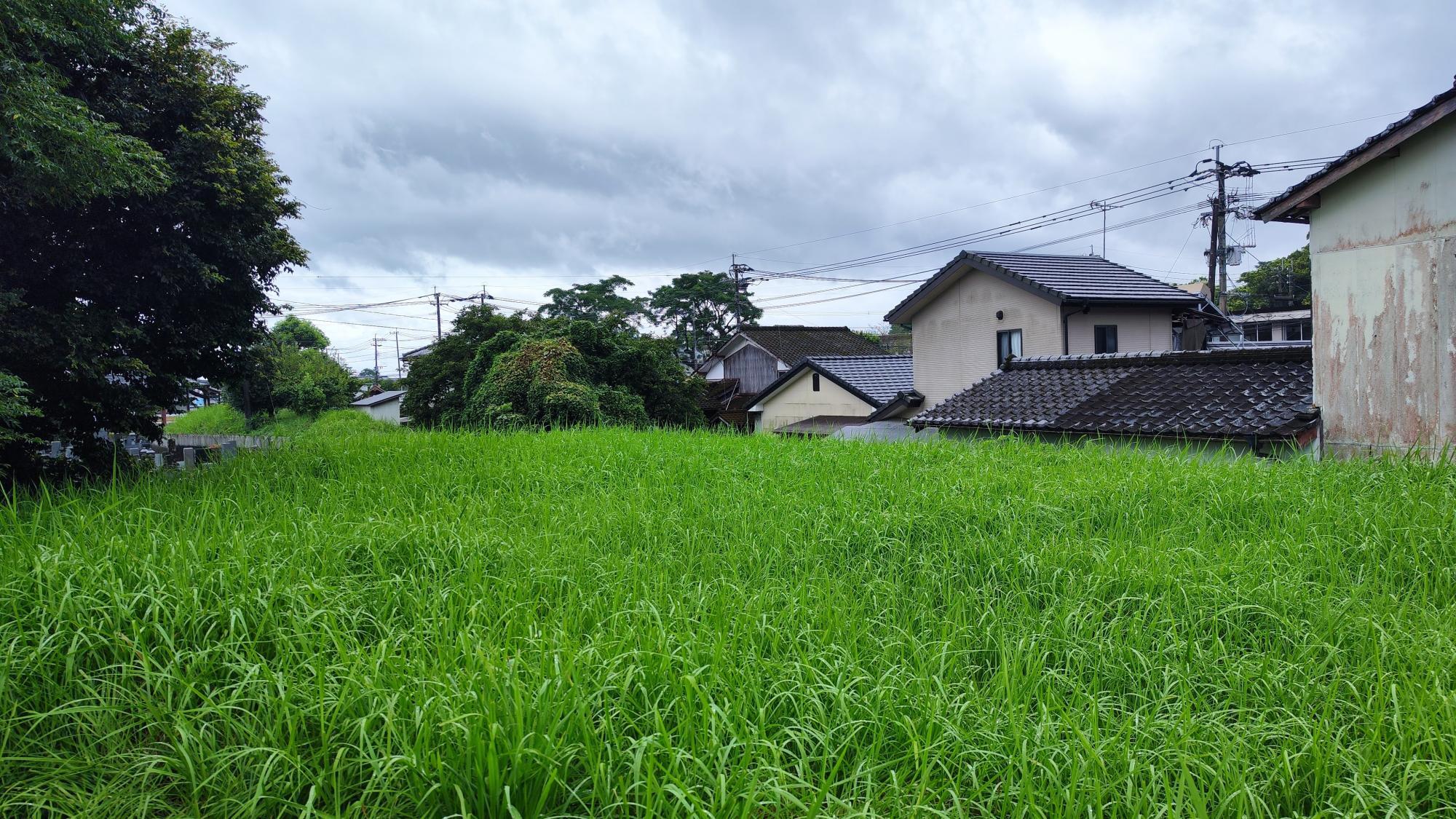 墳丘東側の光景　長い年月で削られたせいか、平らになっています