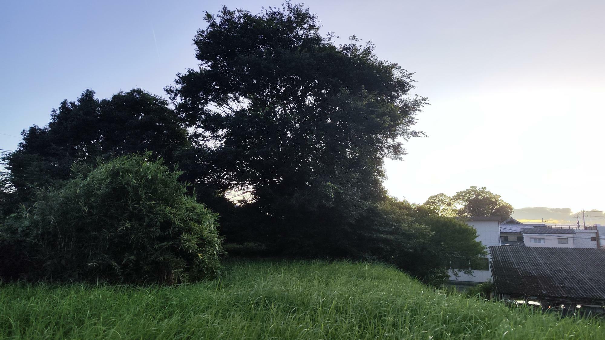 墳丘西側の光景