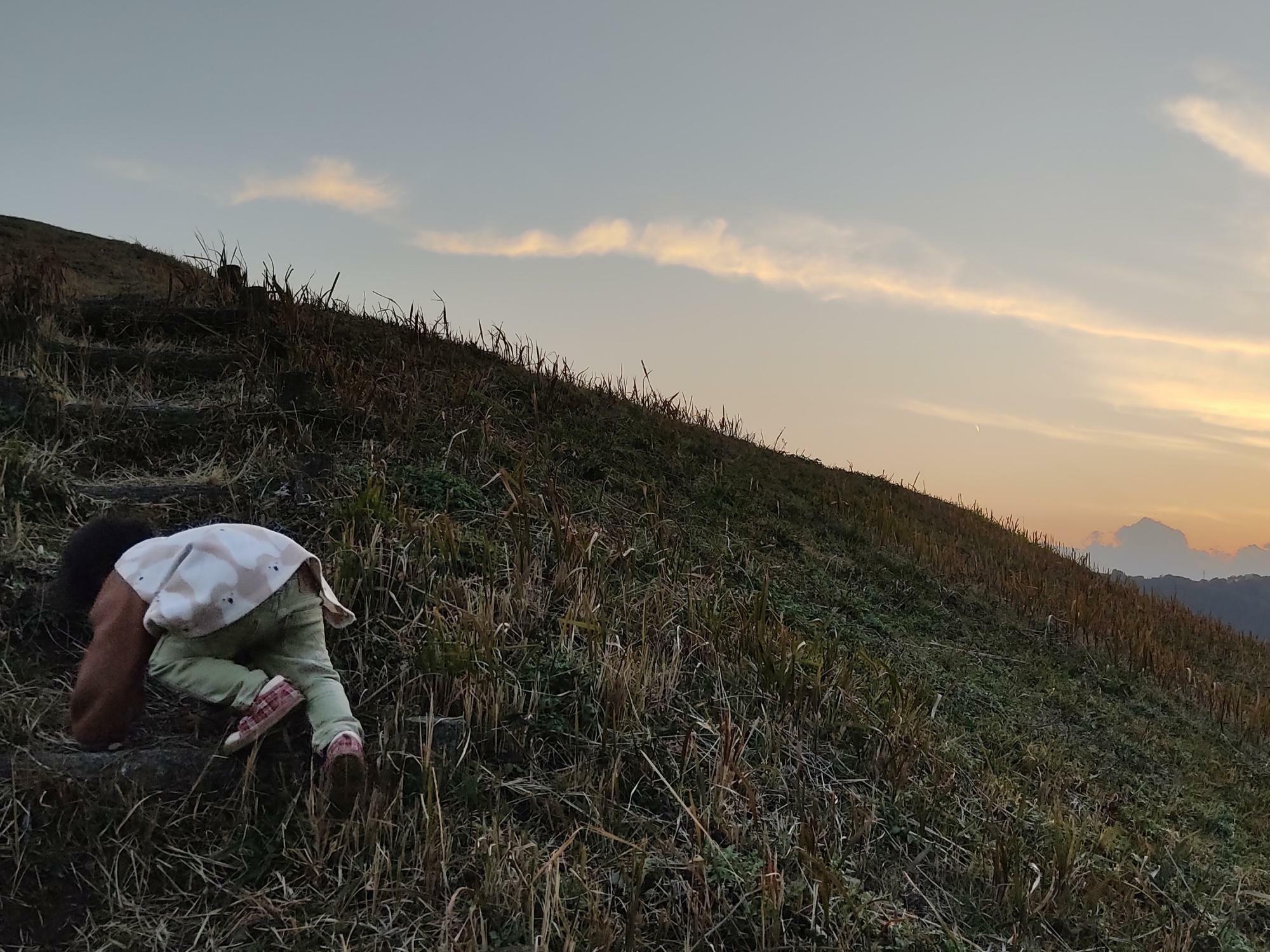 写真左側に狭い階段があります