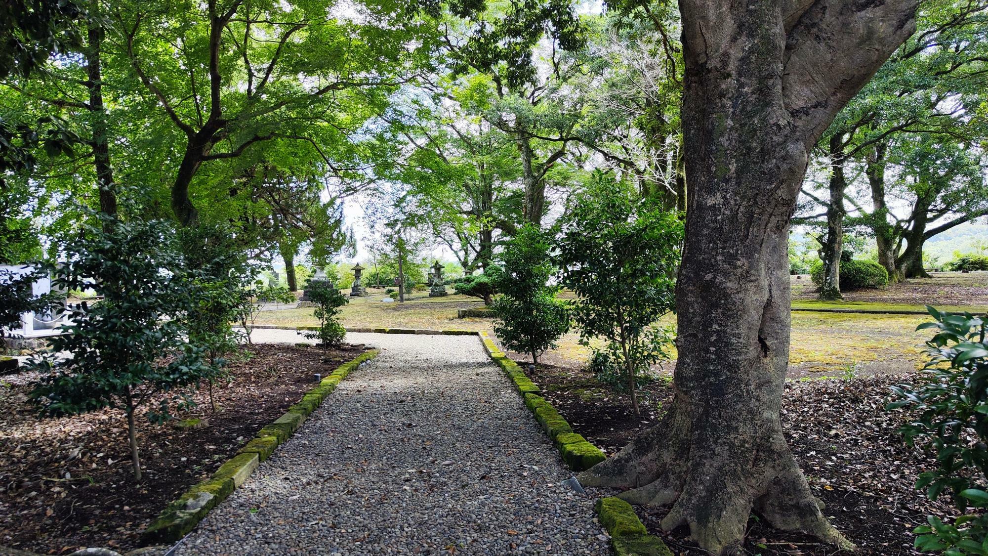 静かな参道で、馬場小吉に思いを馳せる