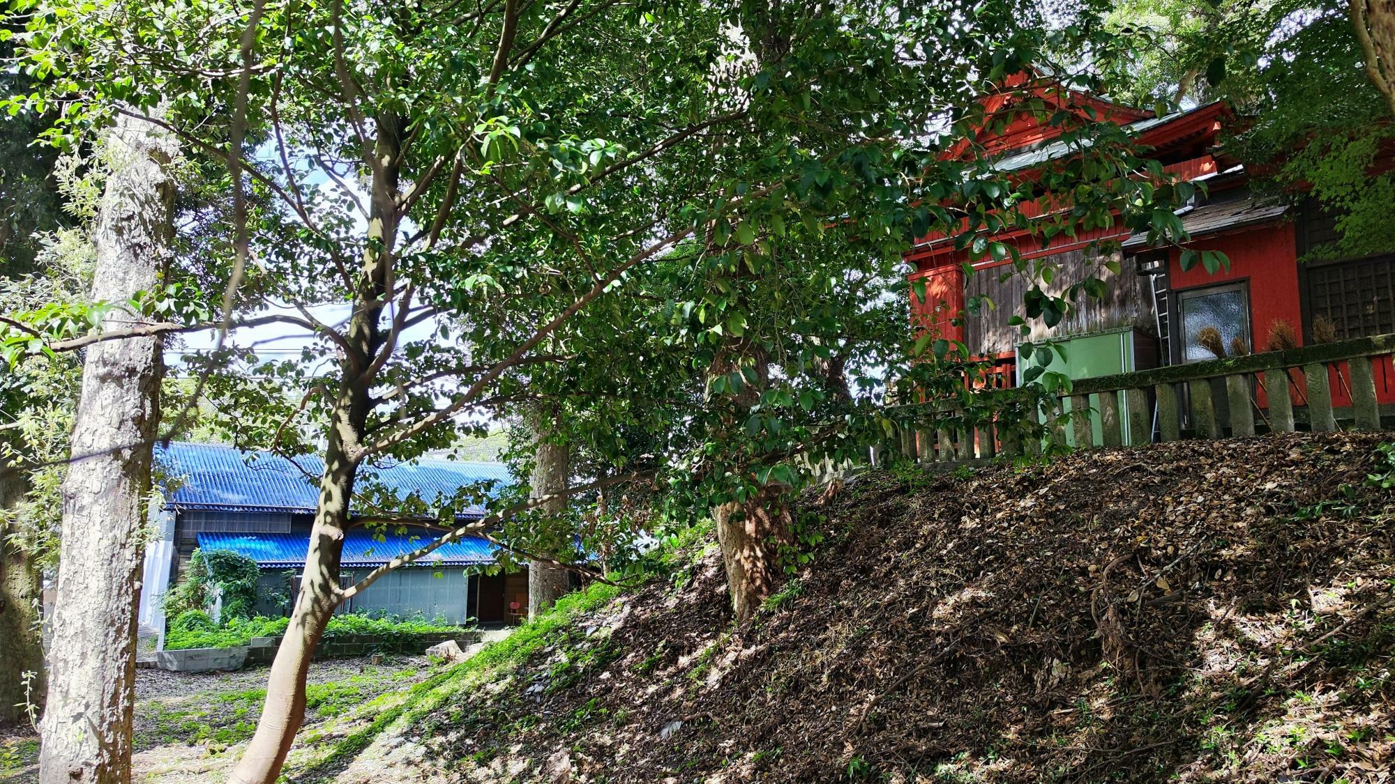 38号墳　上に建つ剣柄稲荷神社は古墳と同じくらいの時期の創建