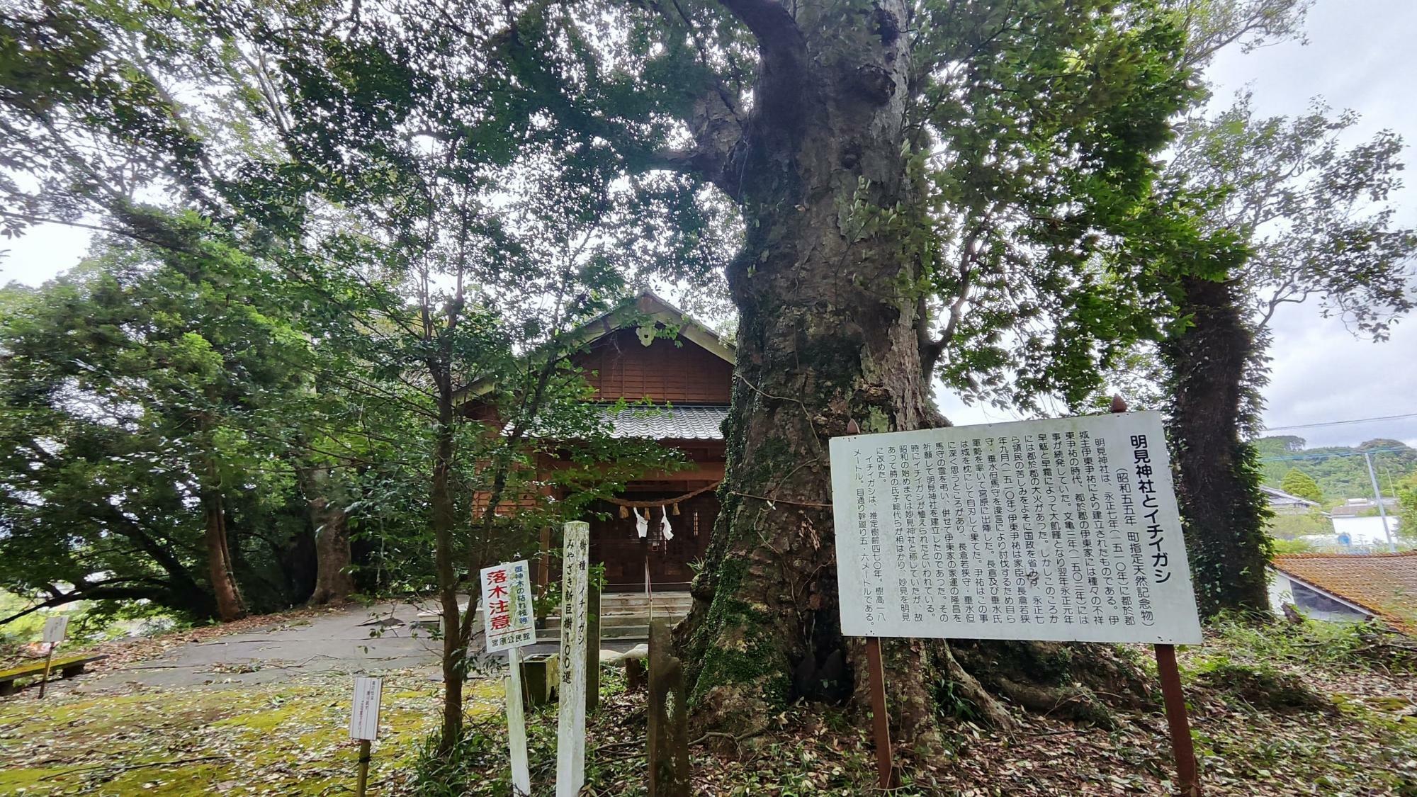 明見神社の秋祭に毎年奉納されているとか