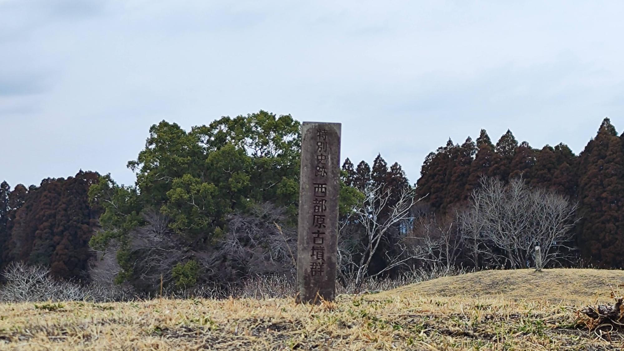 西都市】西都原の古墳と最後の梅：冬から春へ移ろう景色（omi