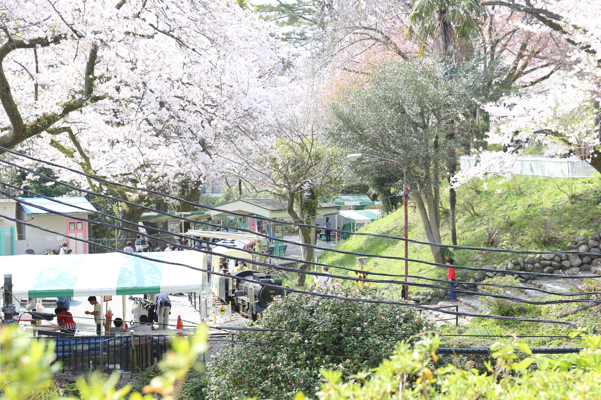 豆汽車が走っているこども遊園地