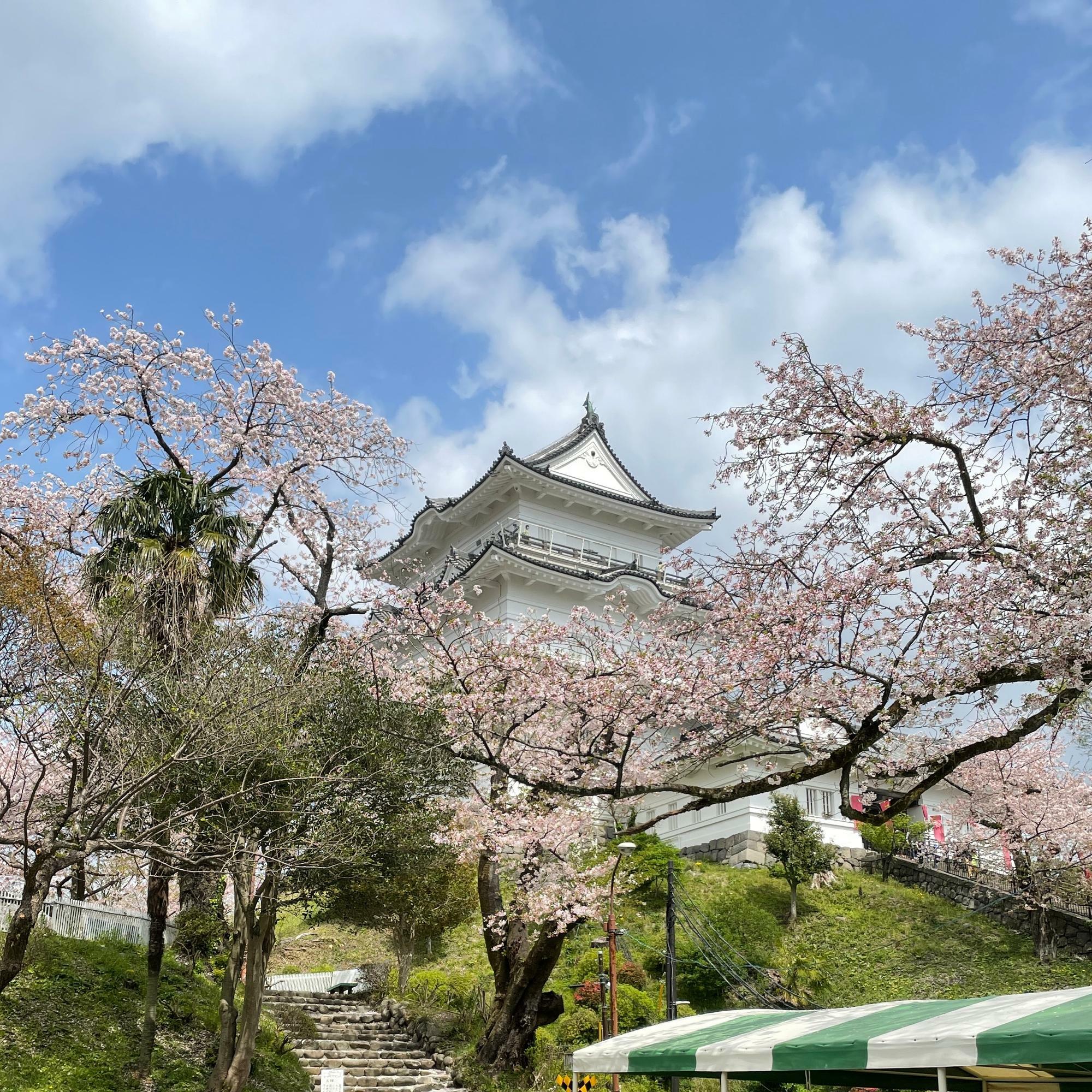 こども遊園地内から見えるお城