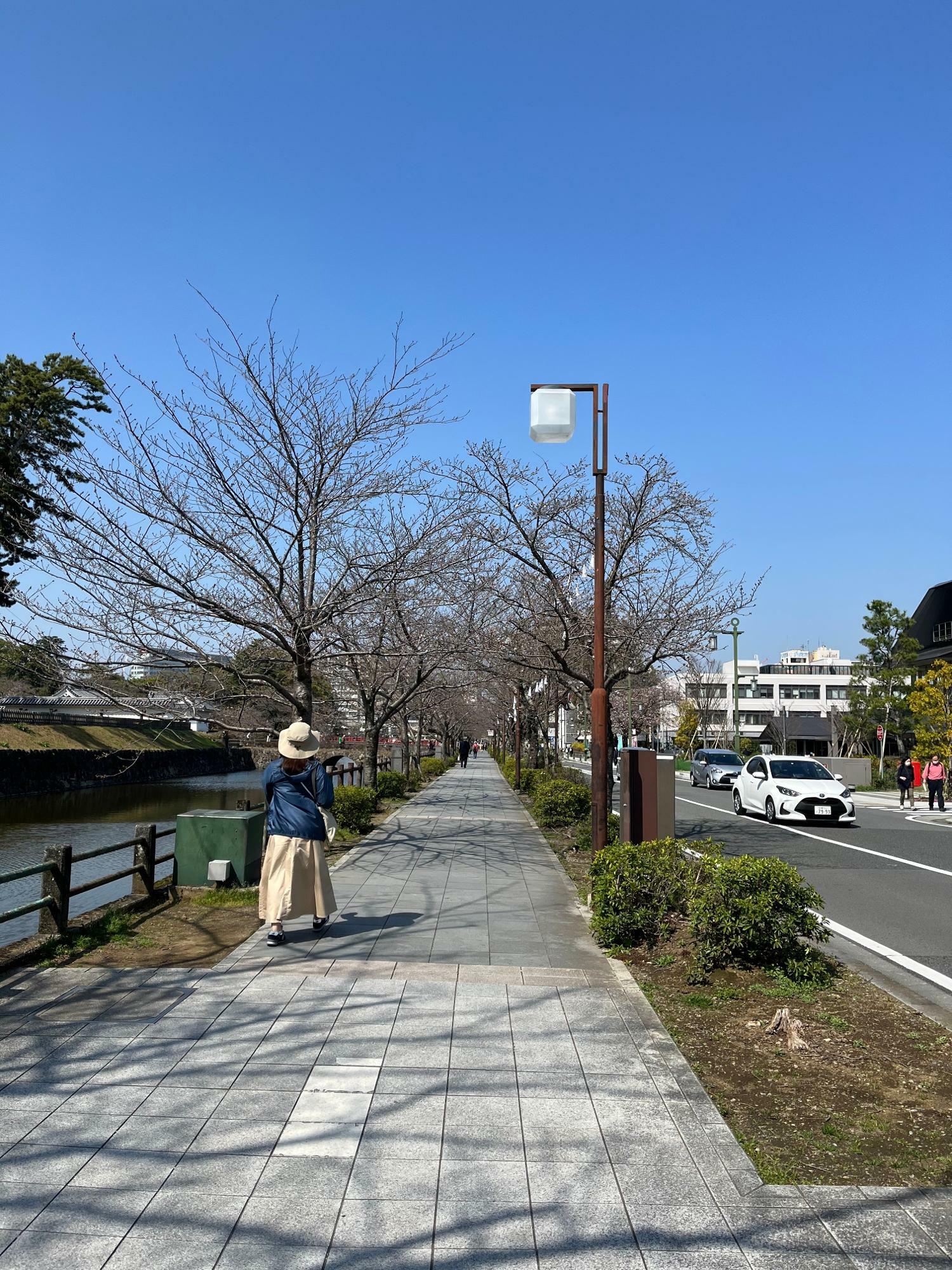 2023年3月22日現在のお堀周辺の様子