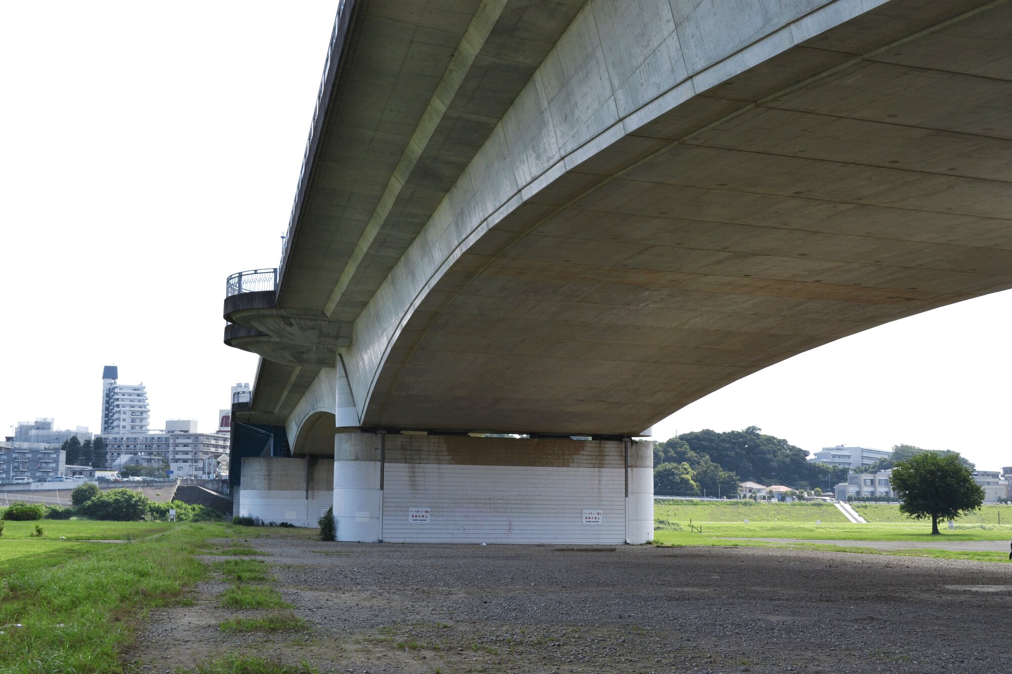 丸子橋の下