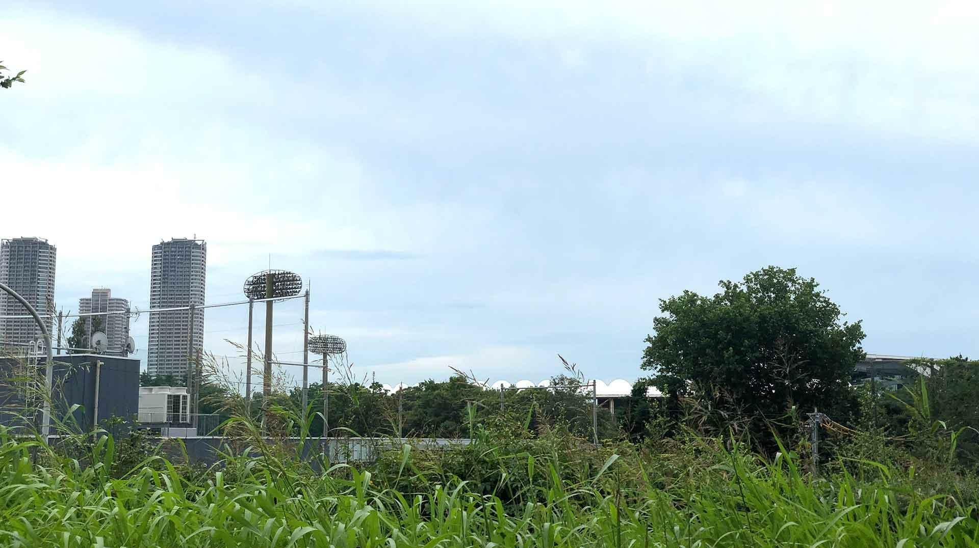 野球場に近い多摩川よりの眺め