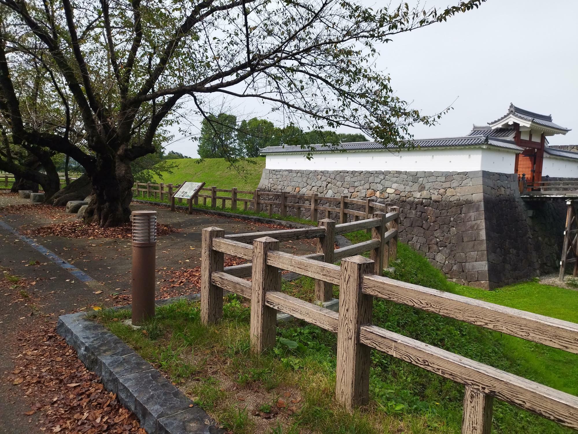 2024年9月28日に霞城公園にて撮影