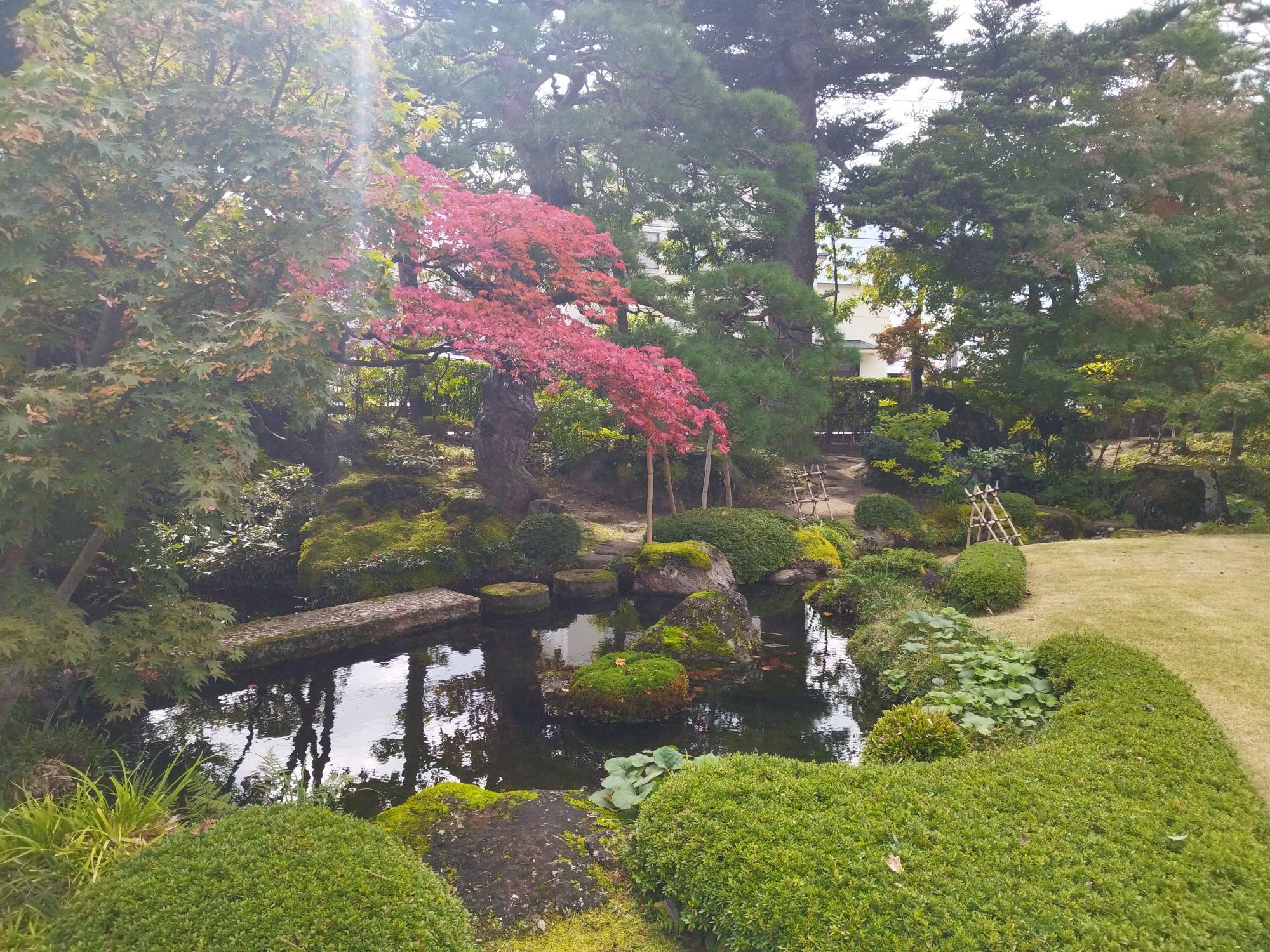 洗心庵の庭園 2024年11月5日