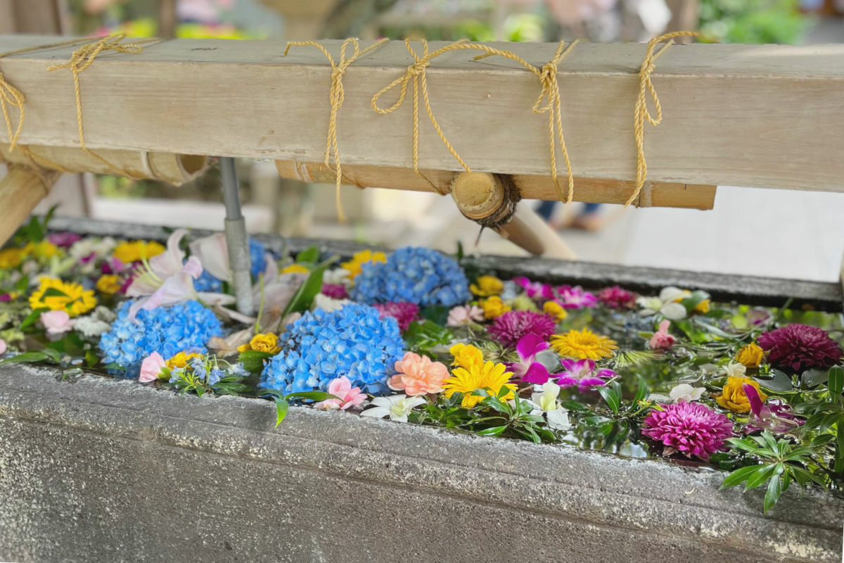 鳩森八幡神社の花手水