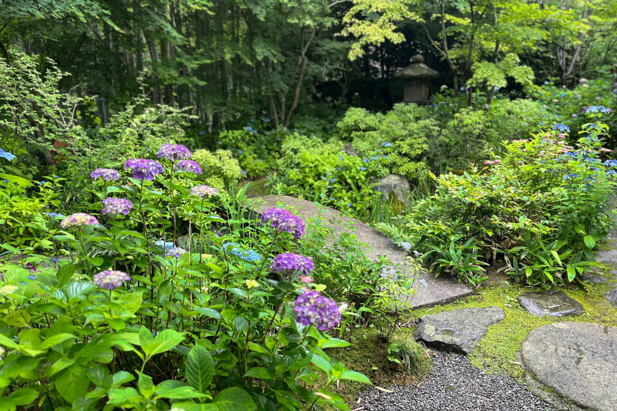 一条恵観山荘にて