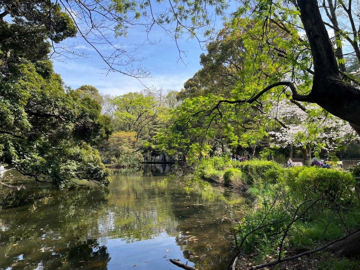 自然いっぱいの和田堀池