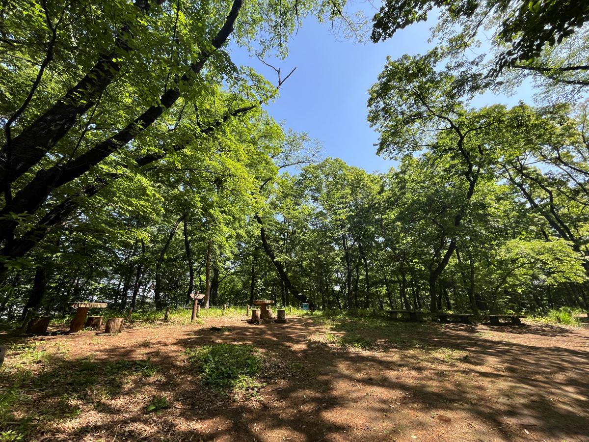 中山の山頂