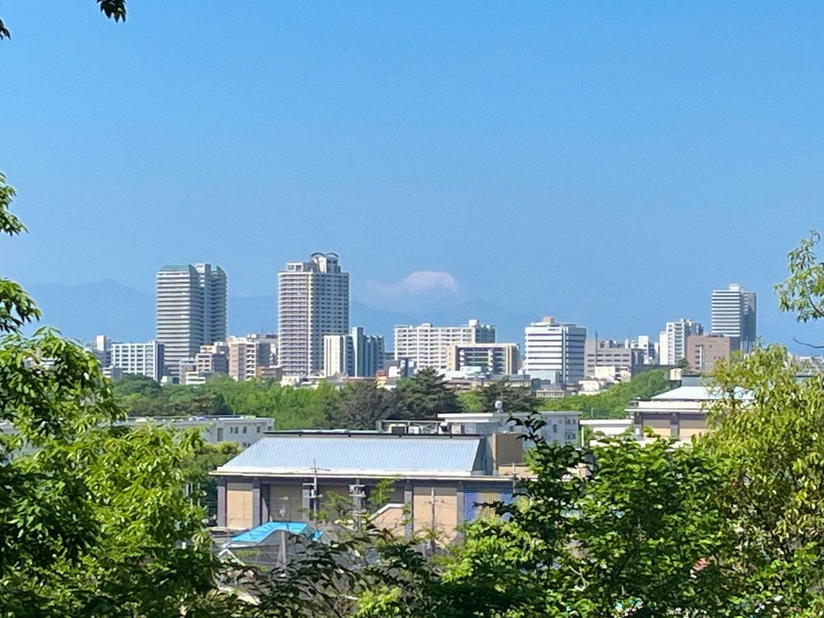 浅間山公園から見える富士山