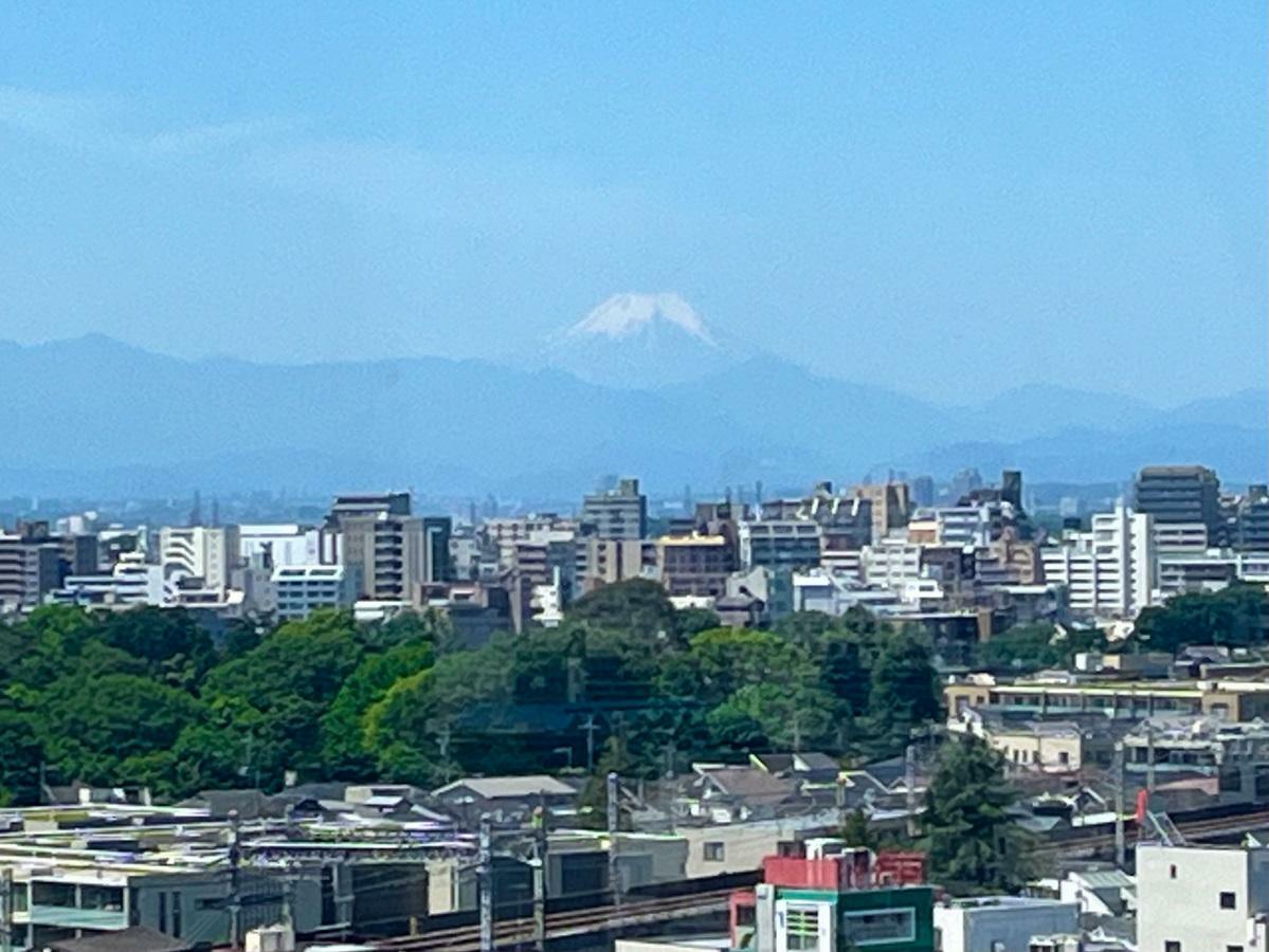 富士山ビューテラスから見える富士山