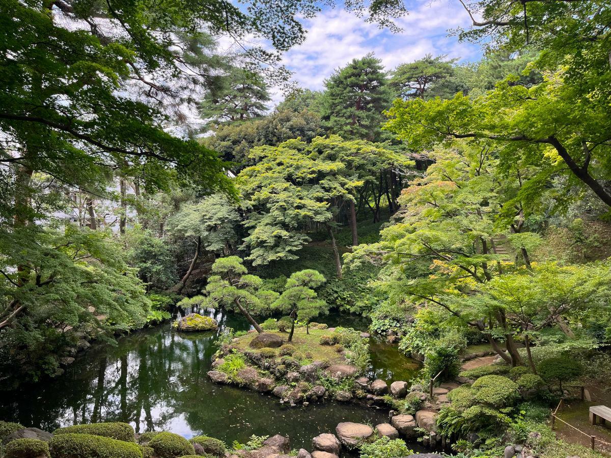 紅葉亭のあたりから見下ろす次郎弁天池