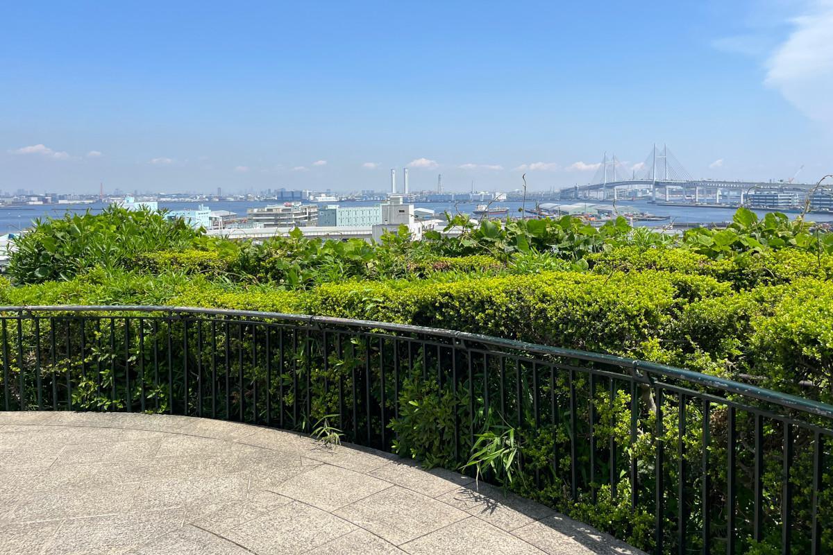 横浜　港の見える丘公園　バラ園 港の見える丘公園 ローズガーデン】アクセス・営業時間・料金