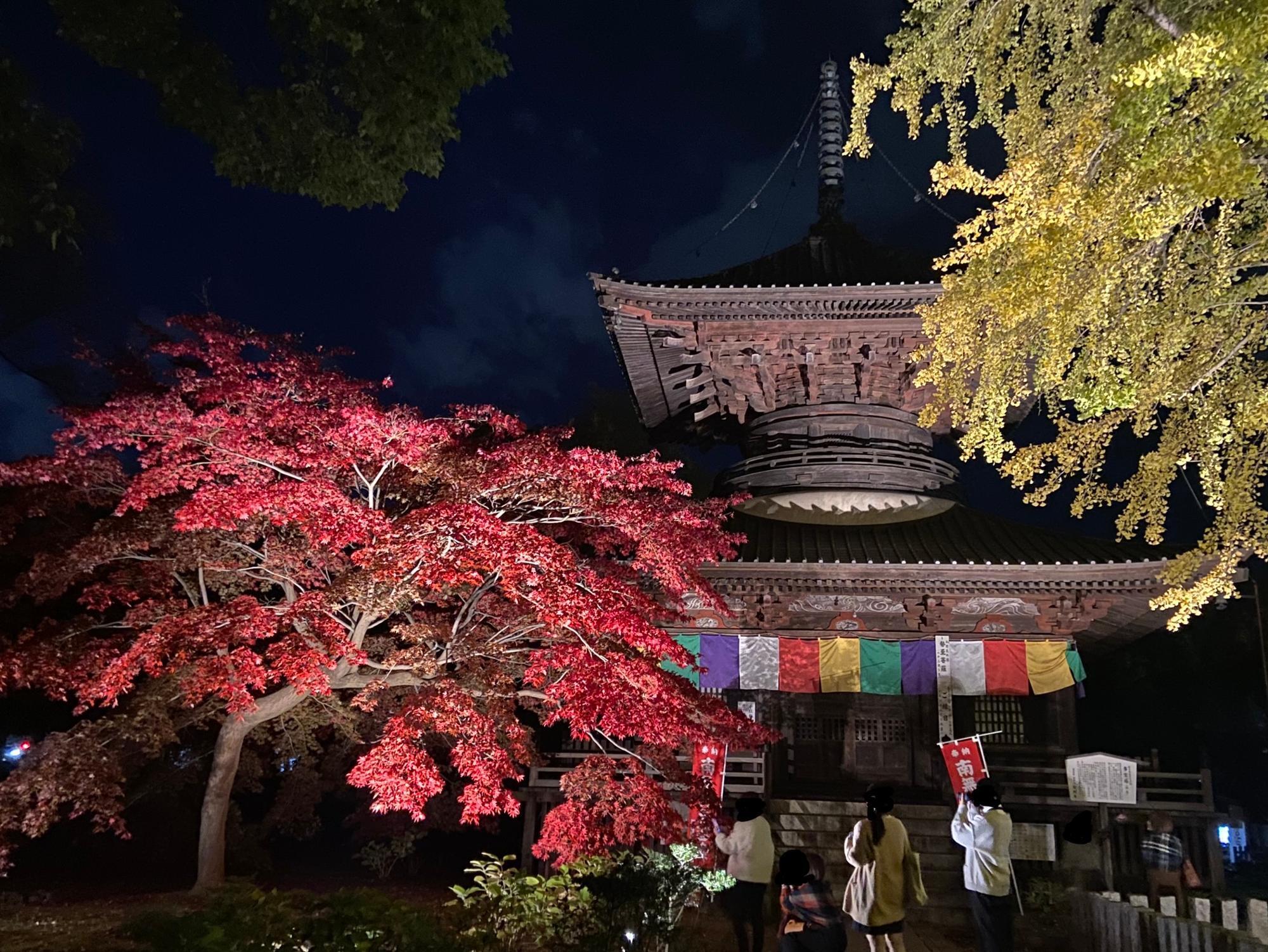 2022年秋撮影、鑁阿寺