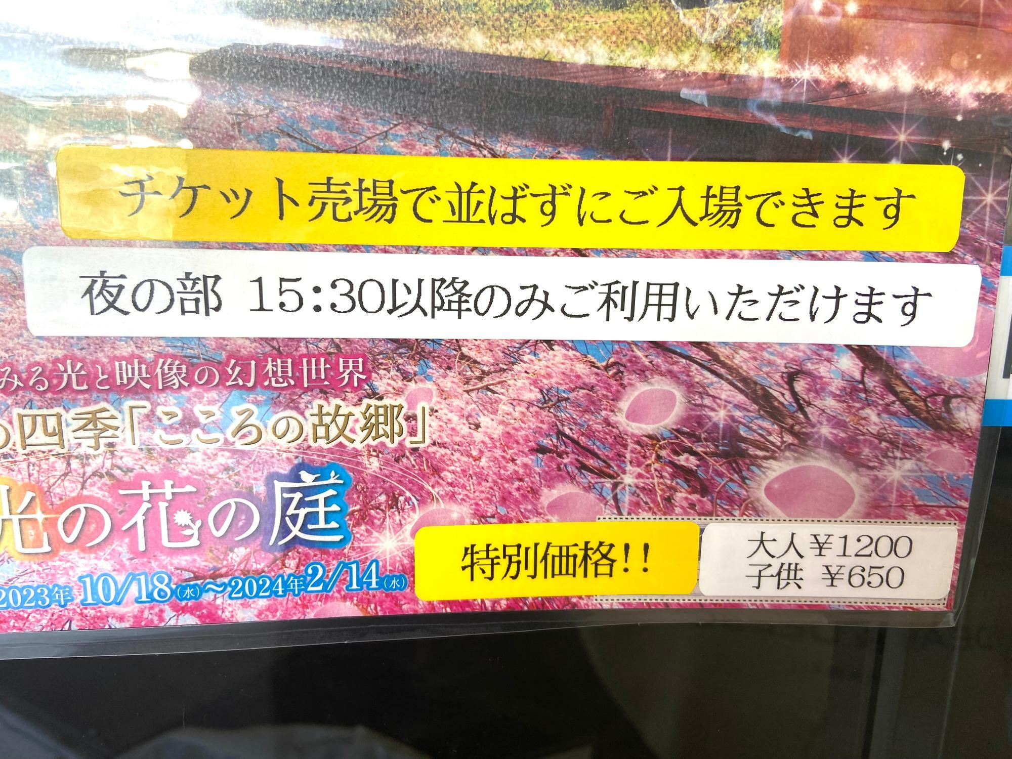 足利市】【佐野市】「あしかがフラワーパーク」夜の部チケットは「佐野