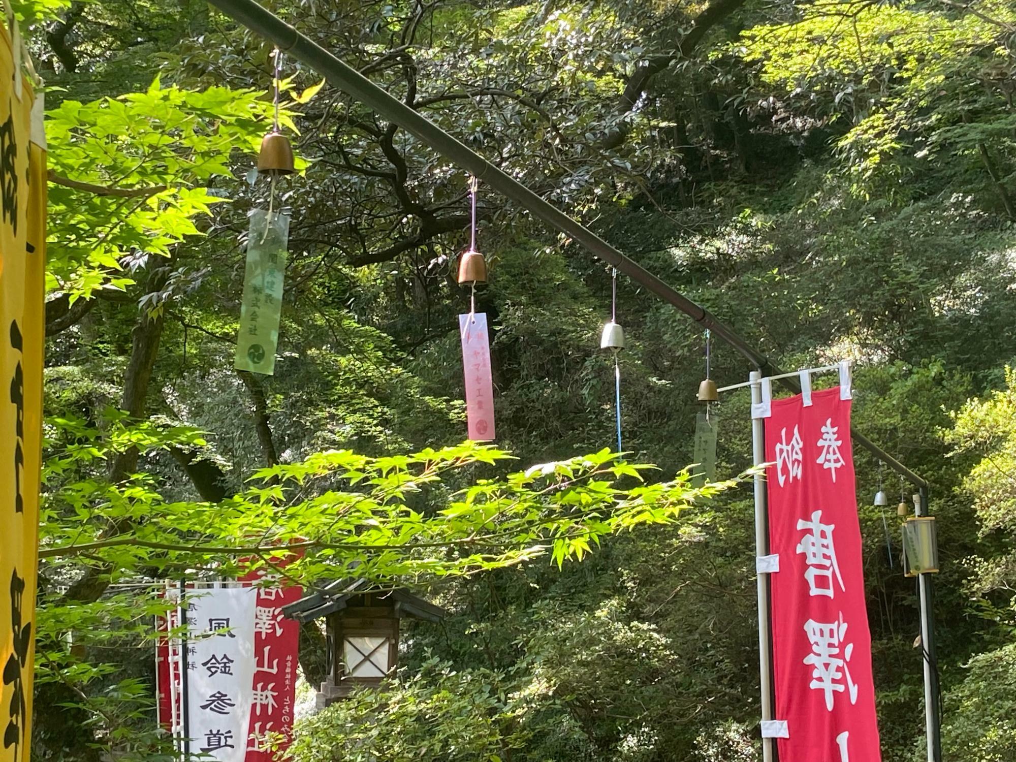 写真は、2023年「風鈴参道」より。