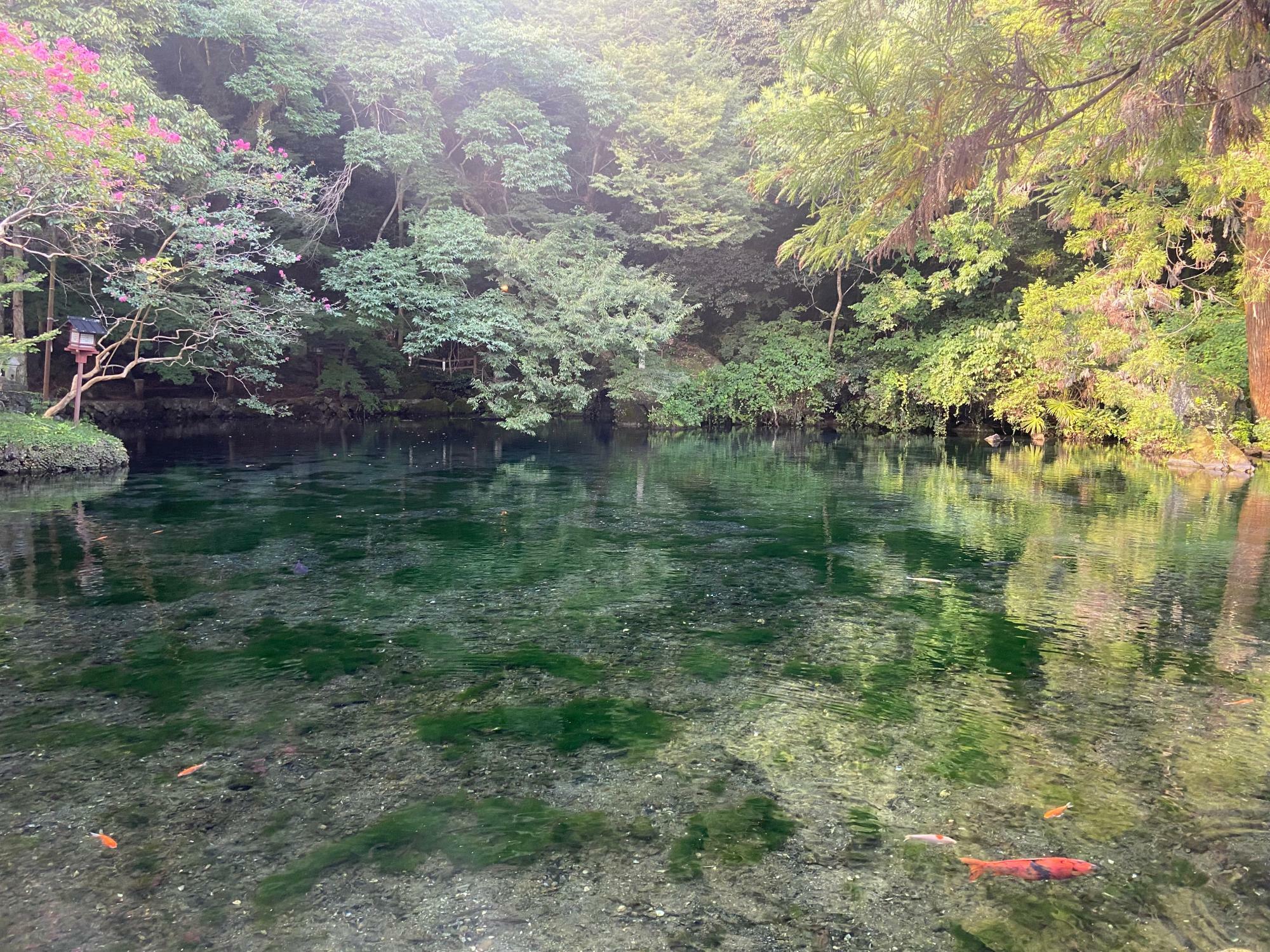 出流原弁天池